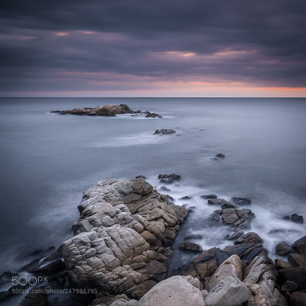 Sony a7R III sample photo. Serenity photography