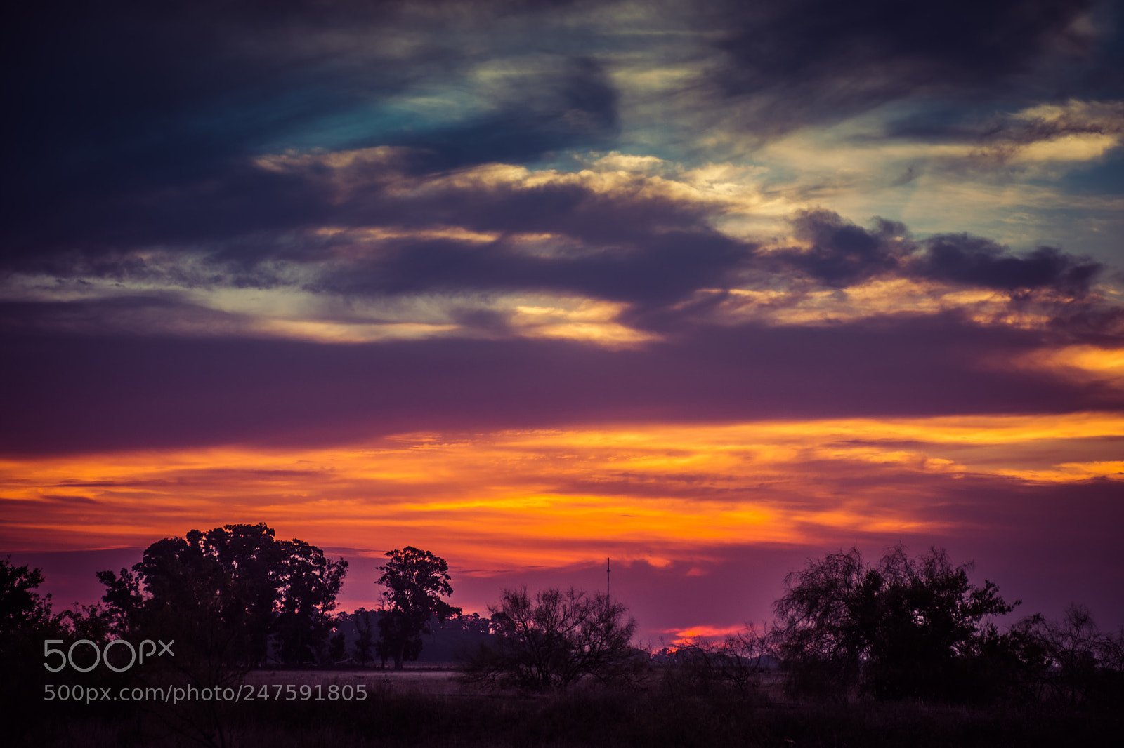 Nikon D7200 sample photo. Colores del atardecer veraniego photography