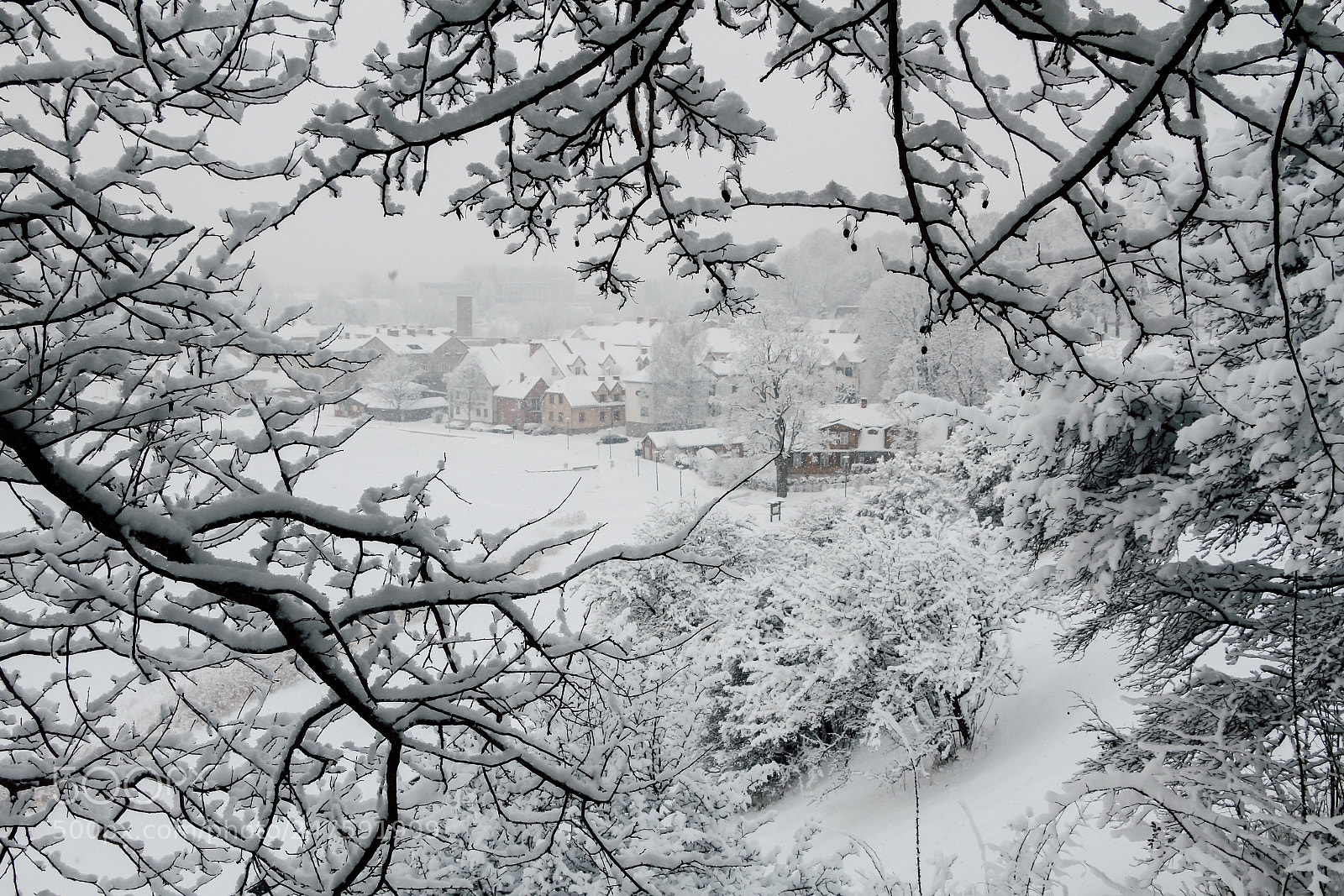 Canon EOS 7D sample photo. Winter is in the photography