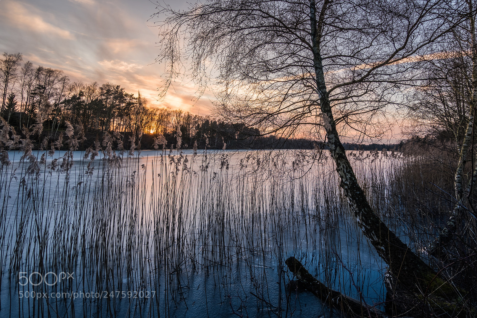 Sony a6300 sample photo. Sonnenuntergang am see photography