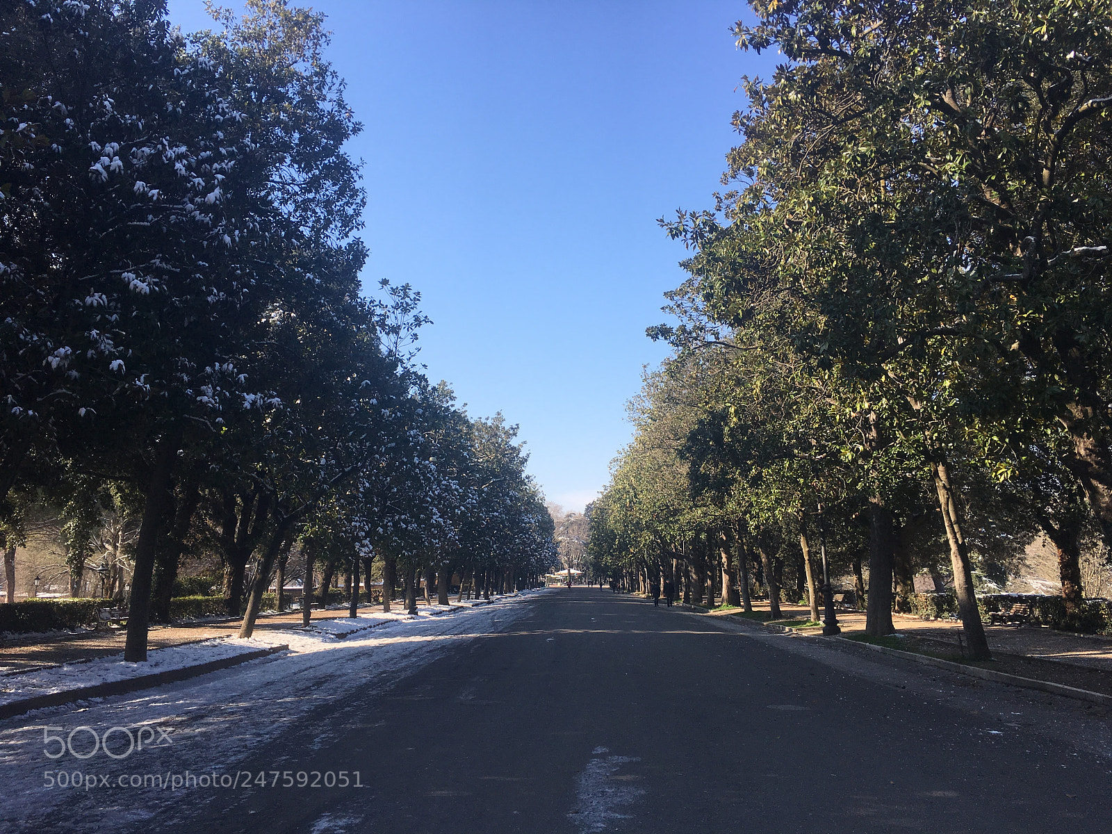 Apple iPhone 6s sample photo. The dark and the photography