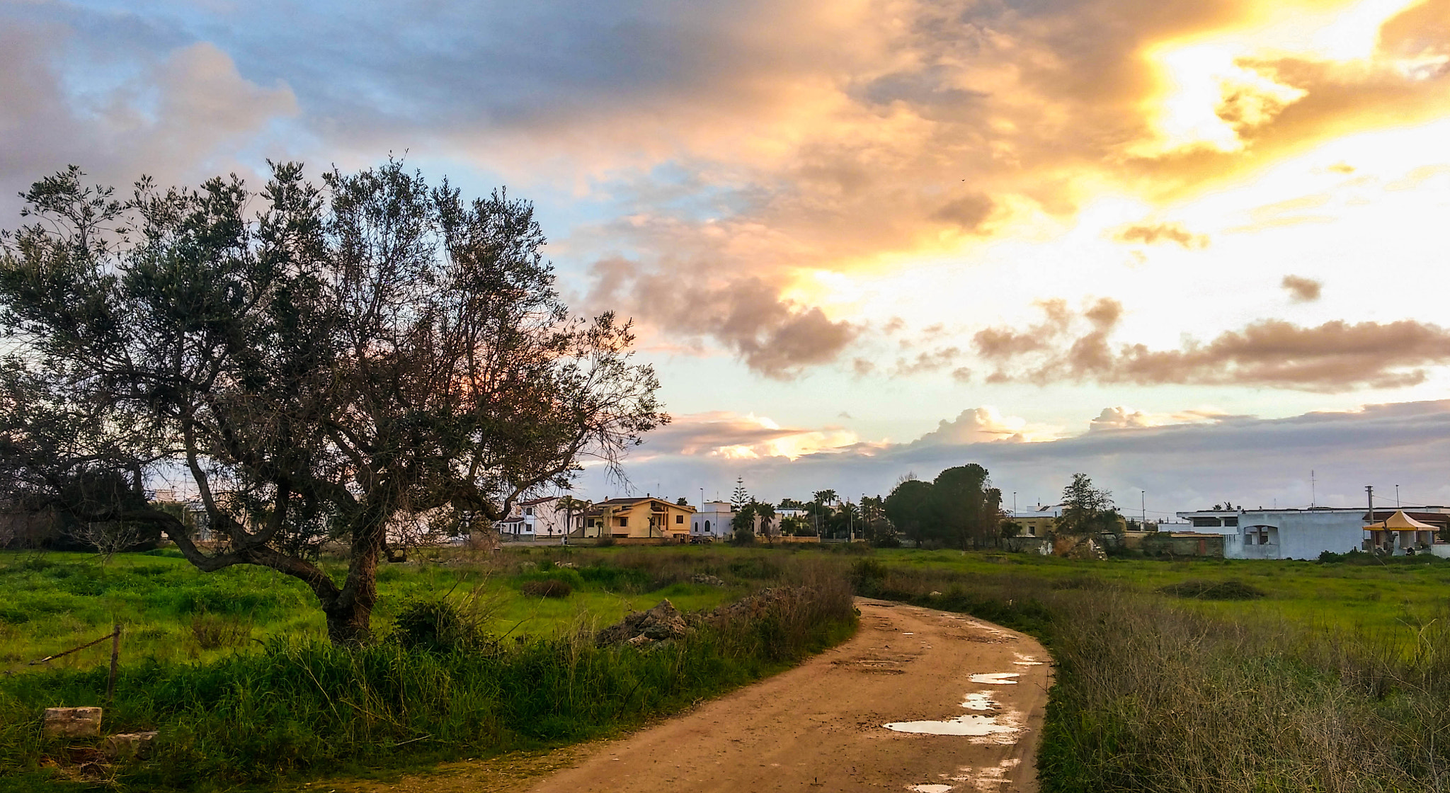 Xiaomi MI4 sample photo. Countryside at sunset photography