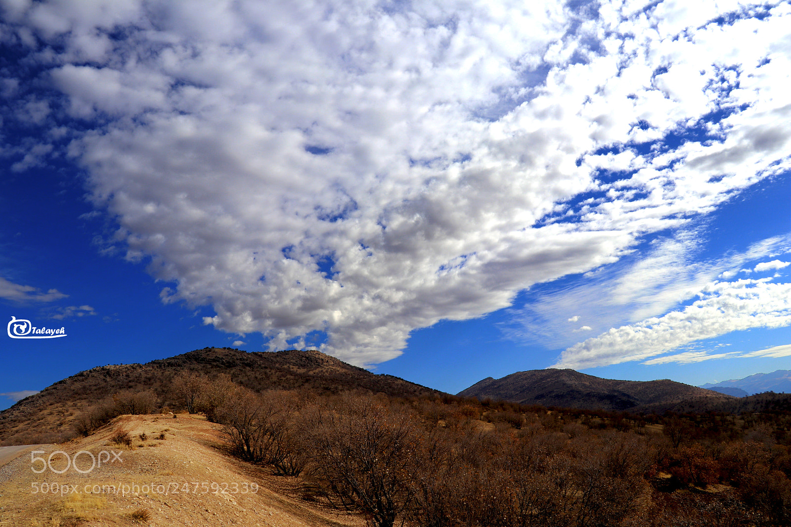 Canon EOS 80D sample photo. Pure sky photography