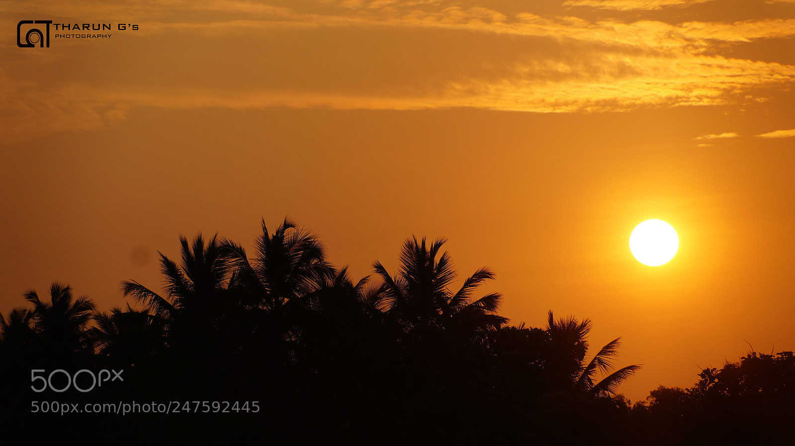 Sony SLT-A37 sample photo. Sunrise ? photography