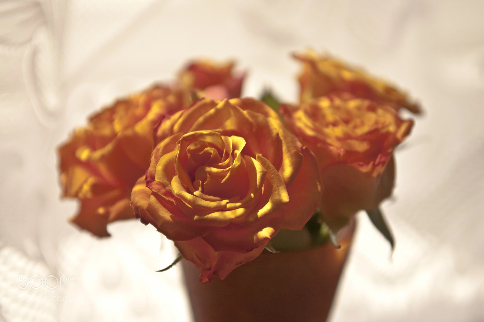 Nikon D300S sample photo. Yellow roses bouquet photography