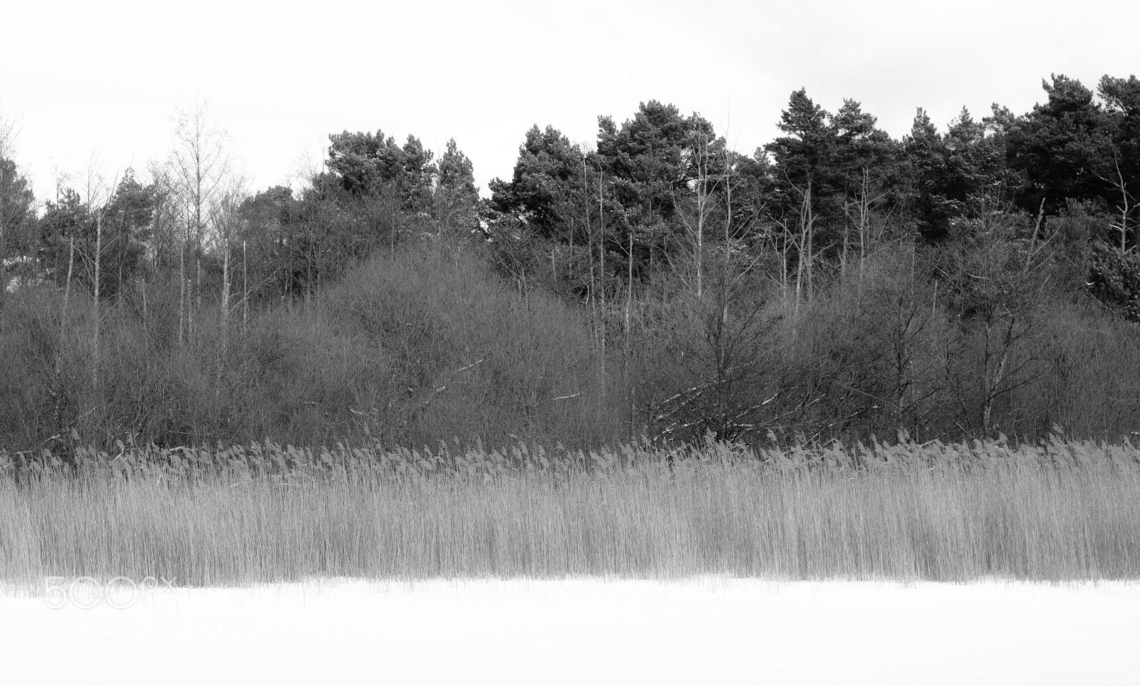 Fujifilm X-Pro2 sample photo. Layers photography