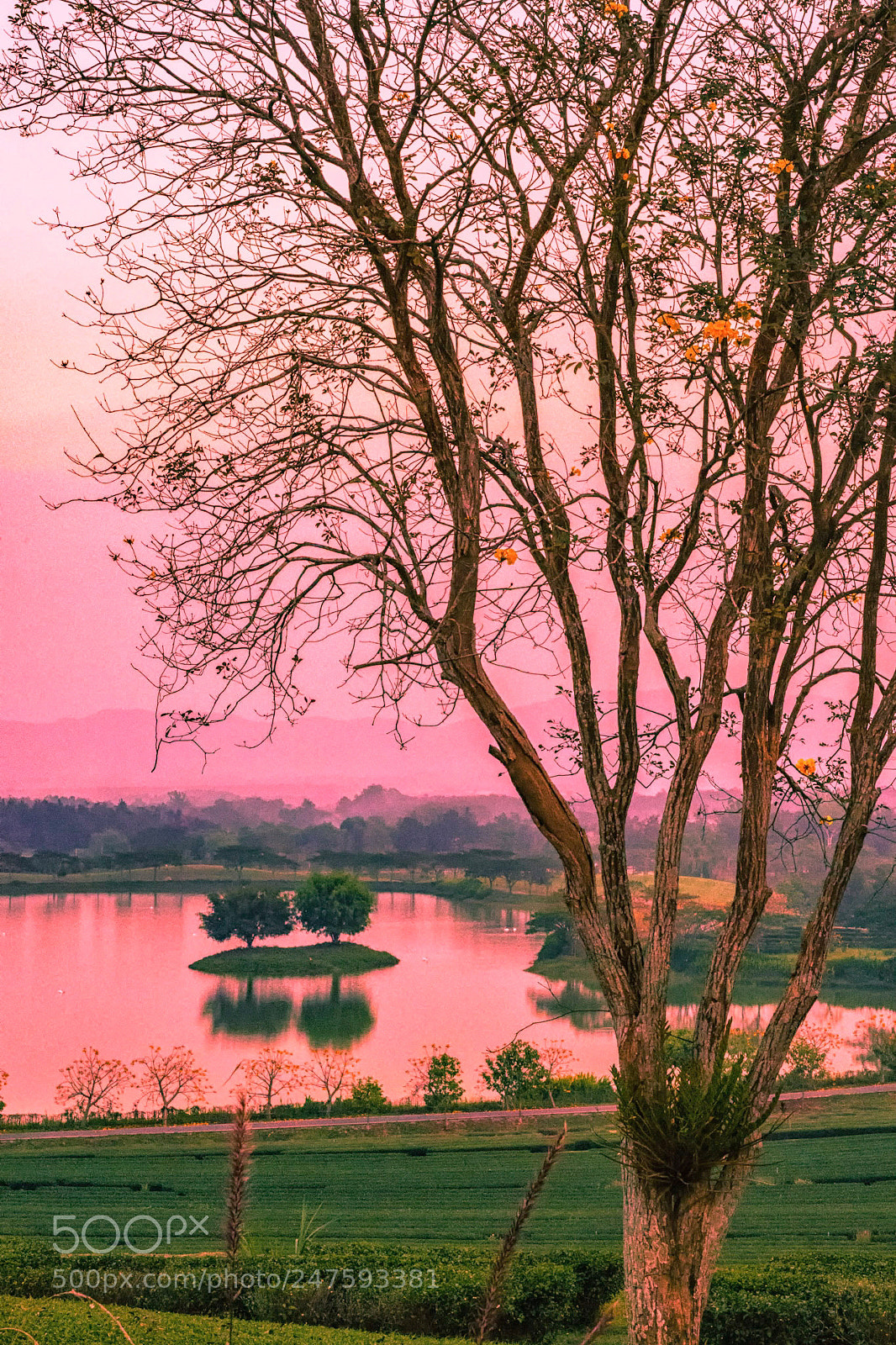 Sony a9 sample photo. Dinner in the park photography
