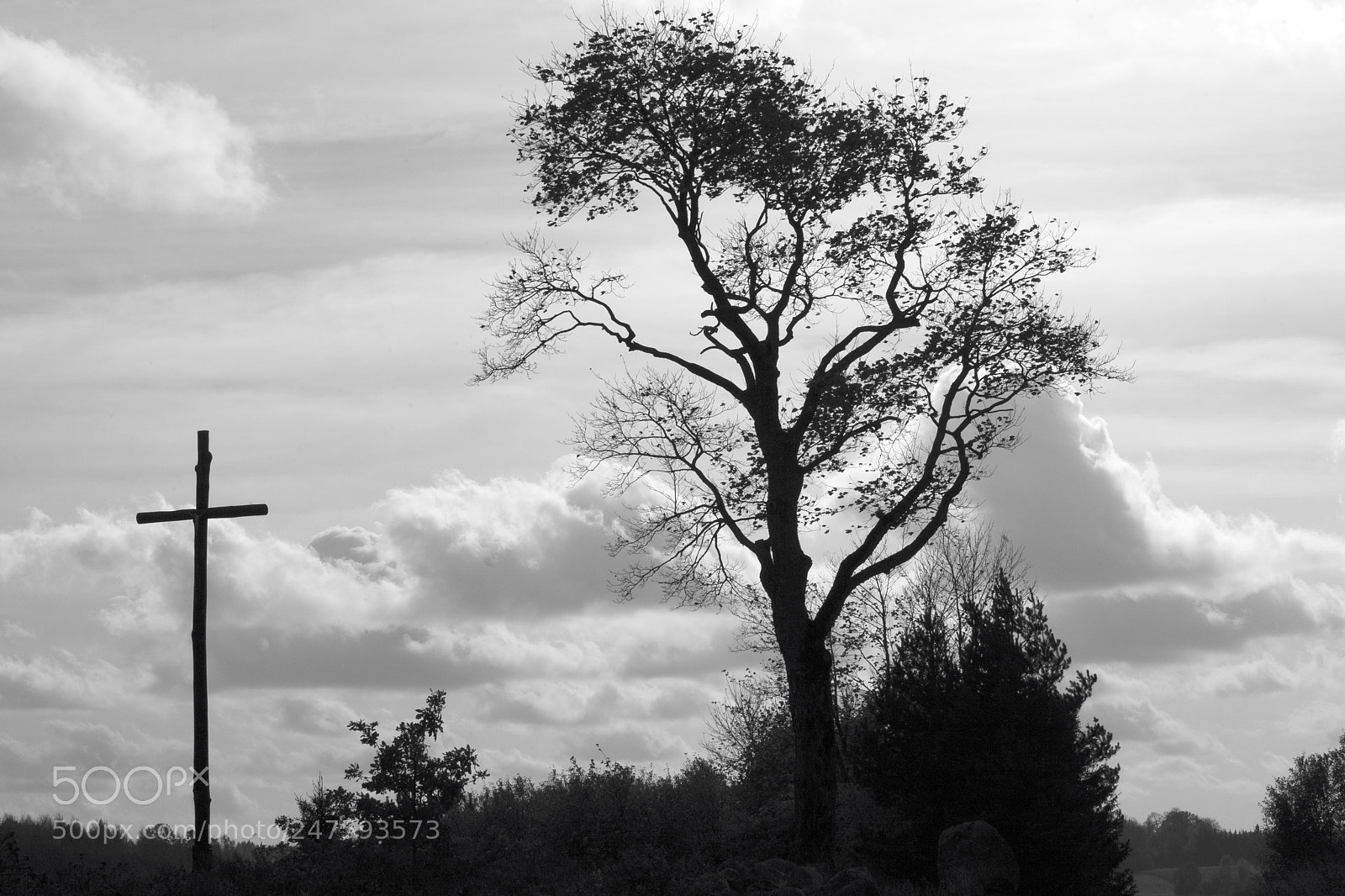 Canon EOS 5D sample photo. Img photography