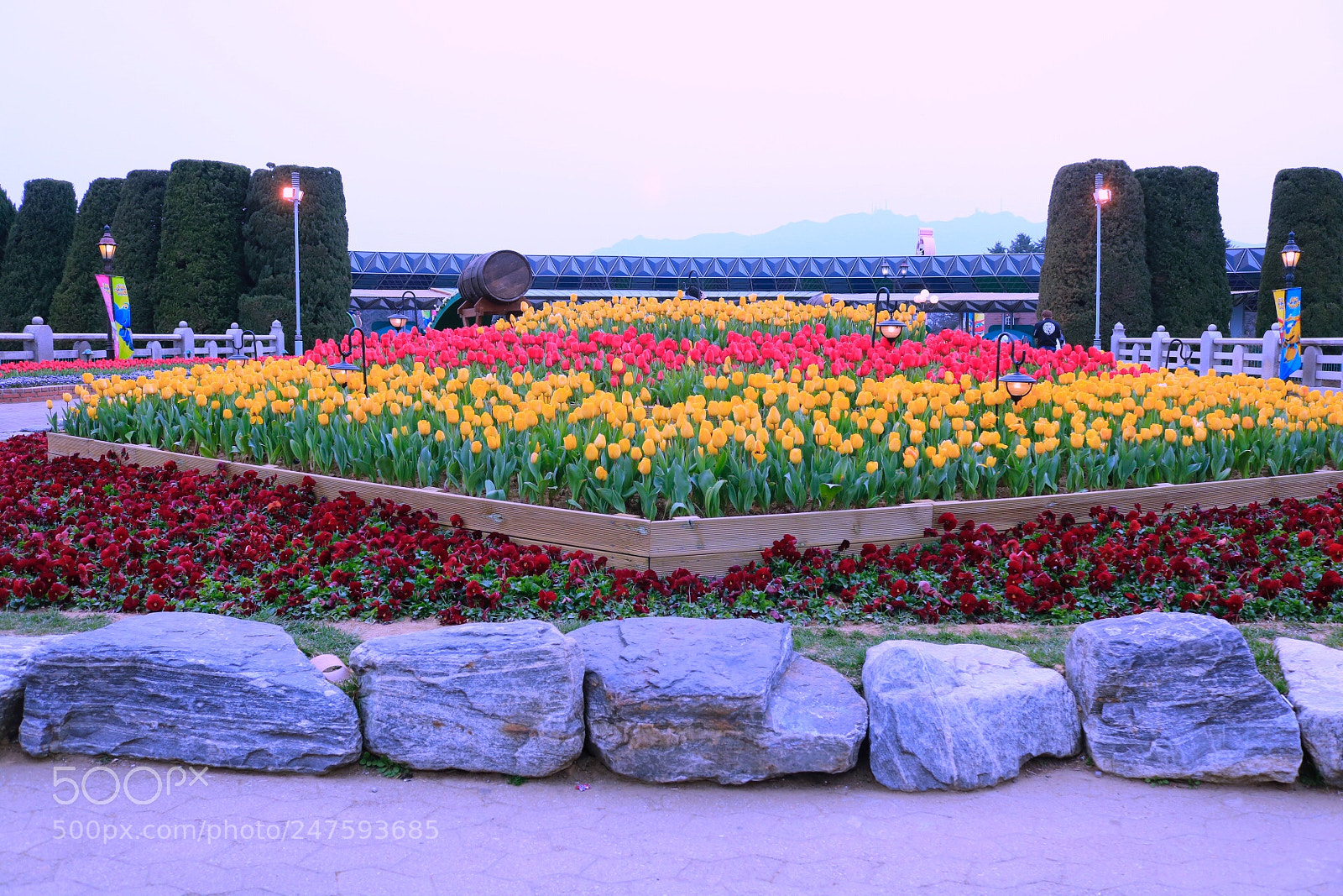 Canon EOS 750D (EOS Rebel T6i / EOS Kiss X8i) sample photo. Untitled photography