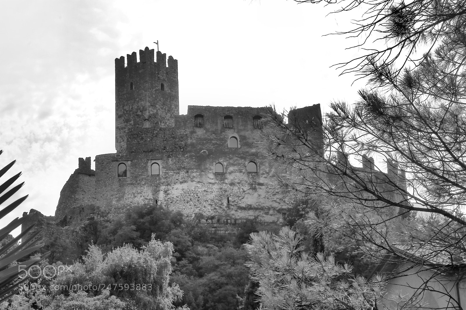 Canon EOS 750D (EOS Rebel T6i / EOS Kiss X8i) sample photo. Drena castle b/w photography
