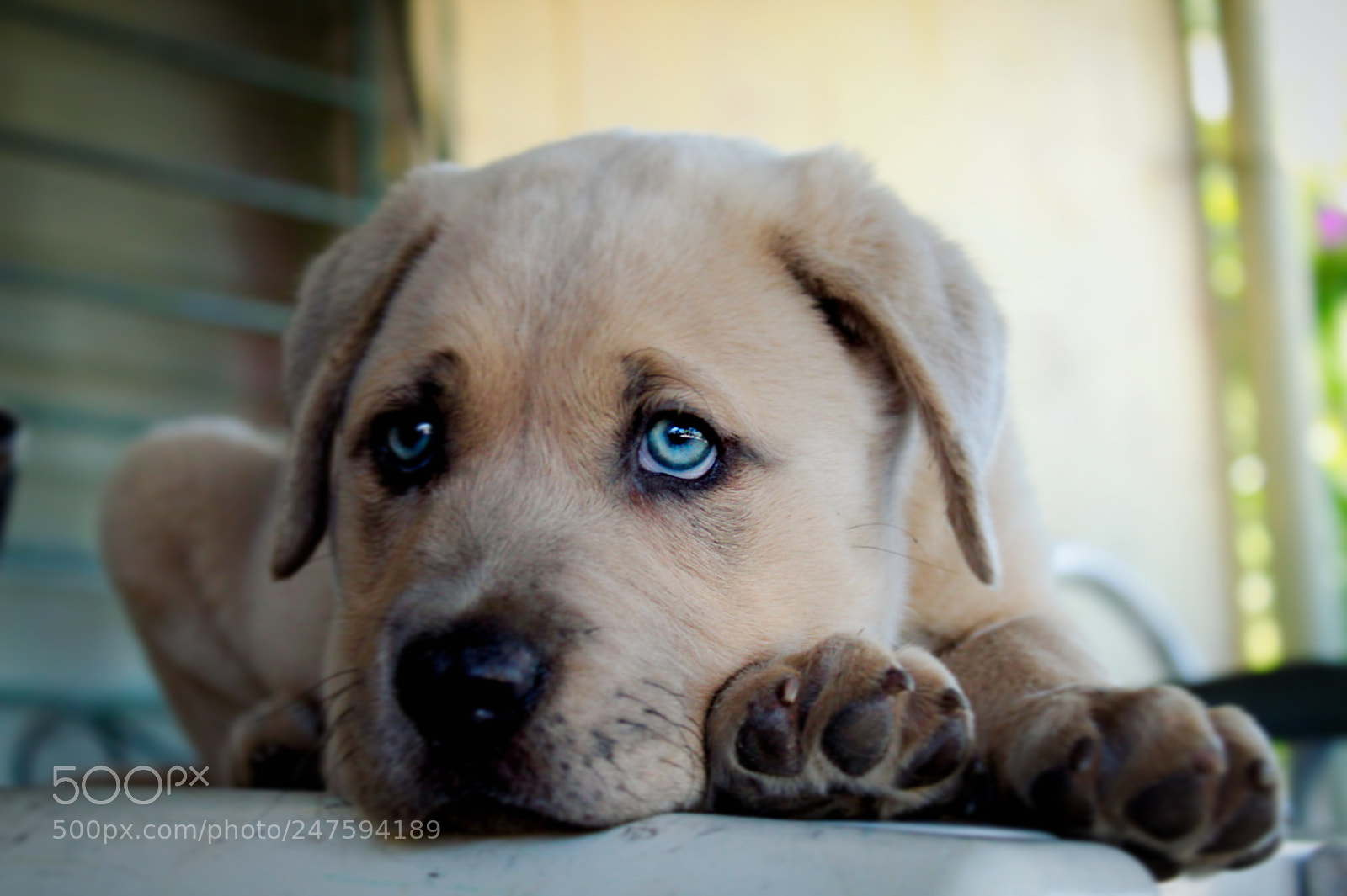 Canon EOS 1300D (EOS Rebel T6 / EOS Kiss X80) sample photo. Baby lucky ? ? photography