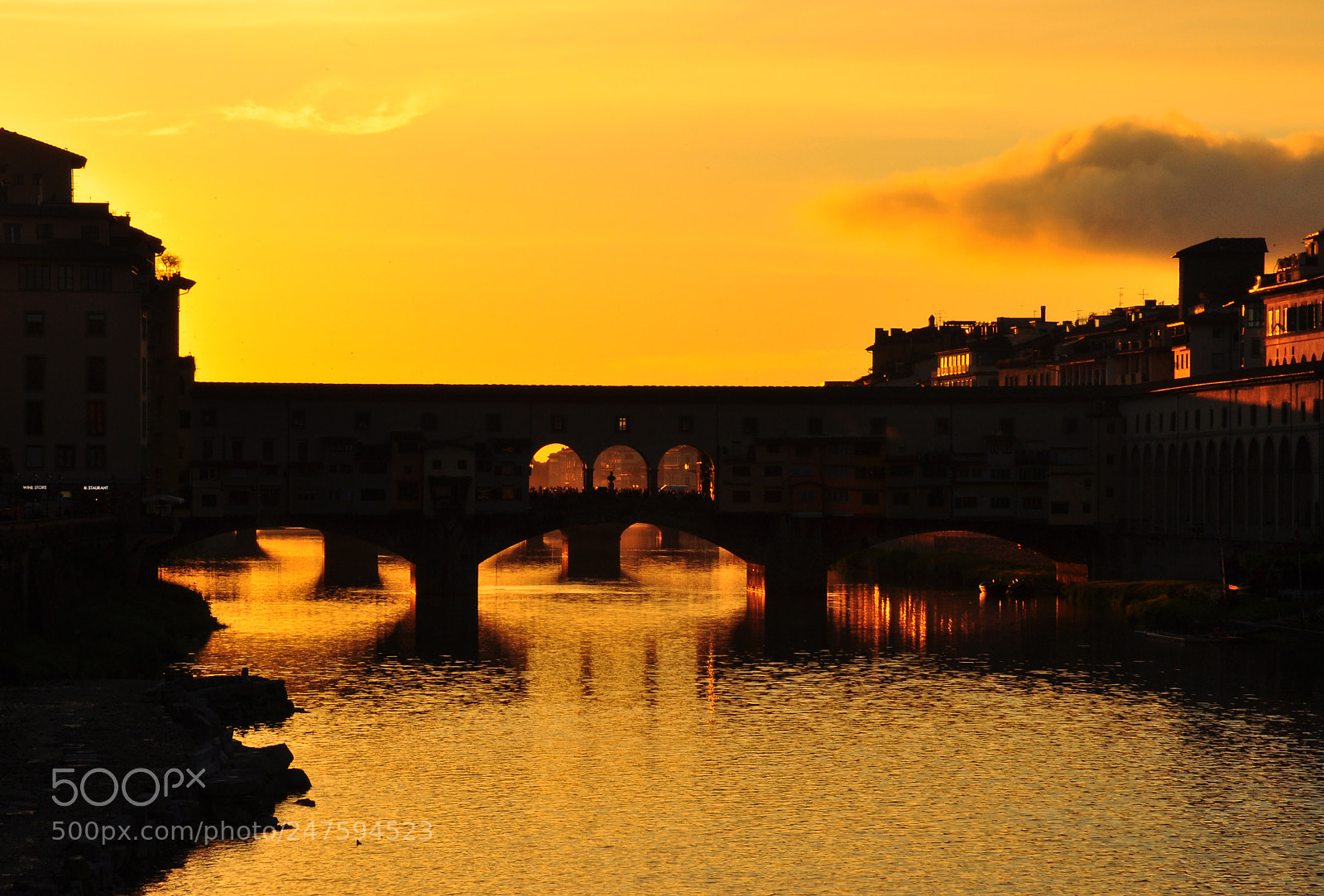 Nikon D90 sample photo. All gold of florence photography