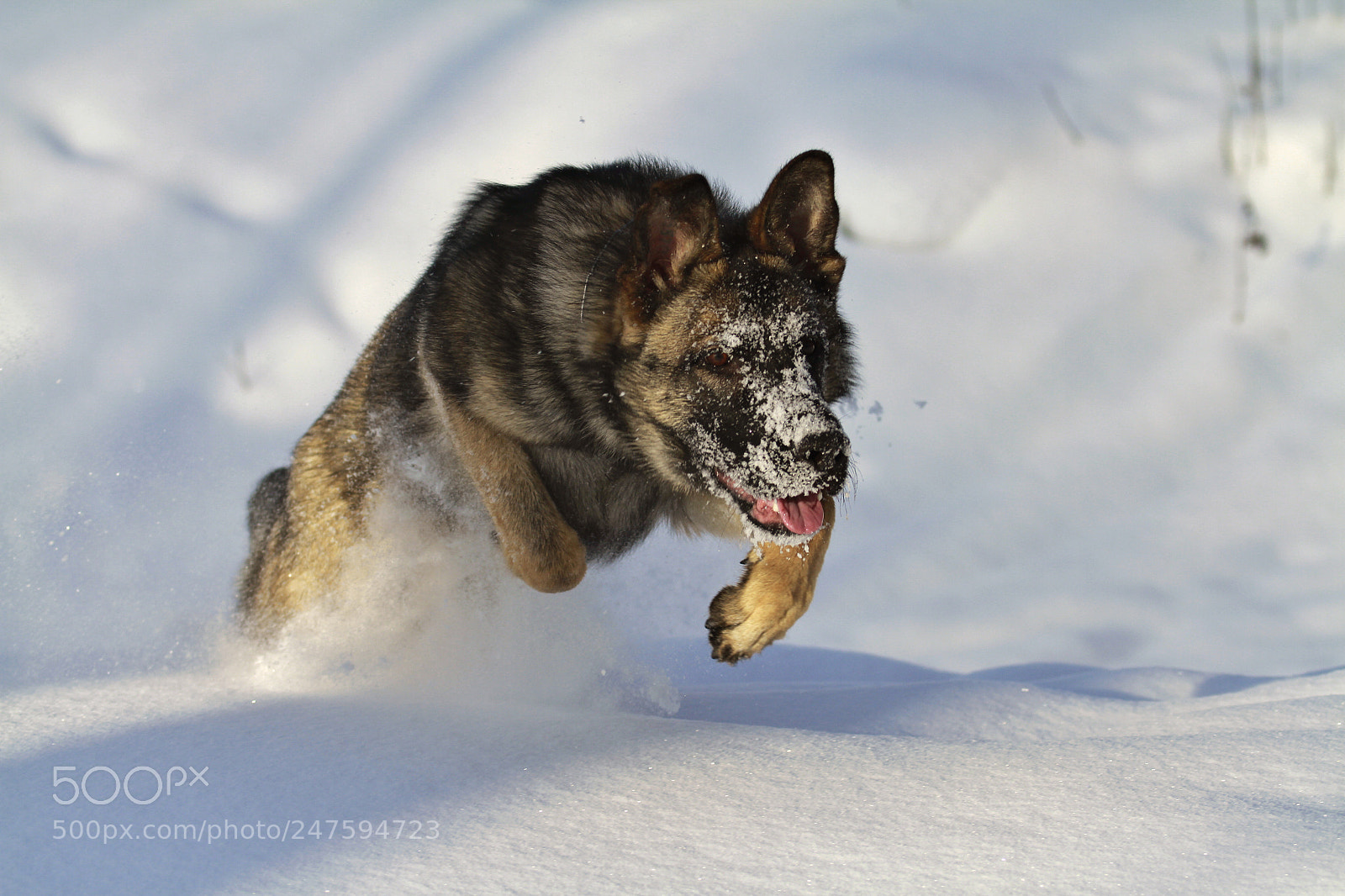 Canon EOS 7D sample photo. Рывок photography