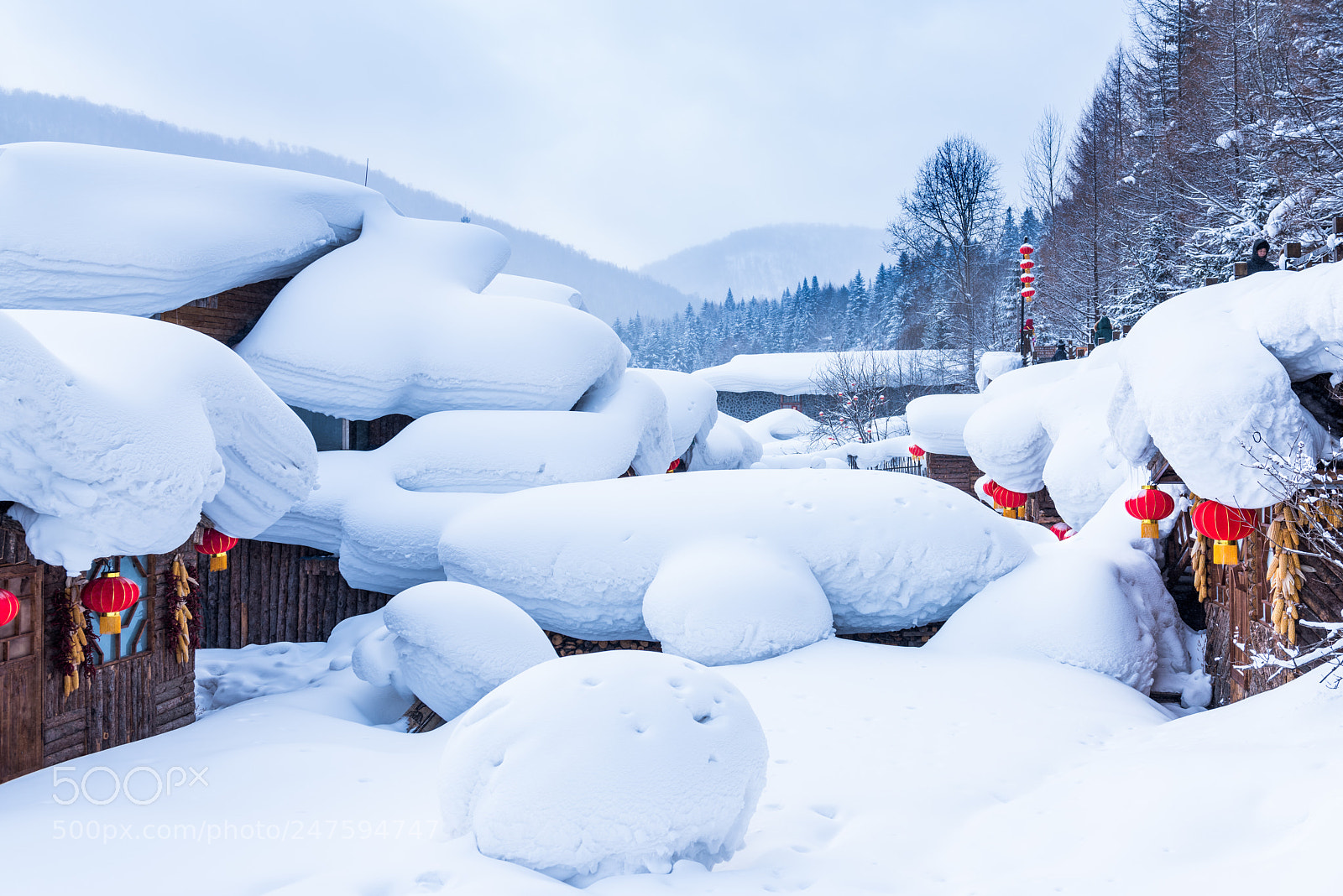 Nikon D810 sample photo. Sweet home photography