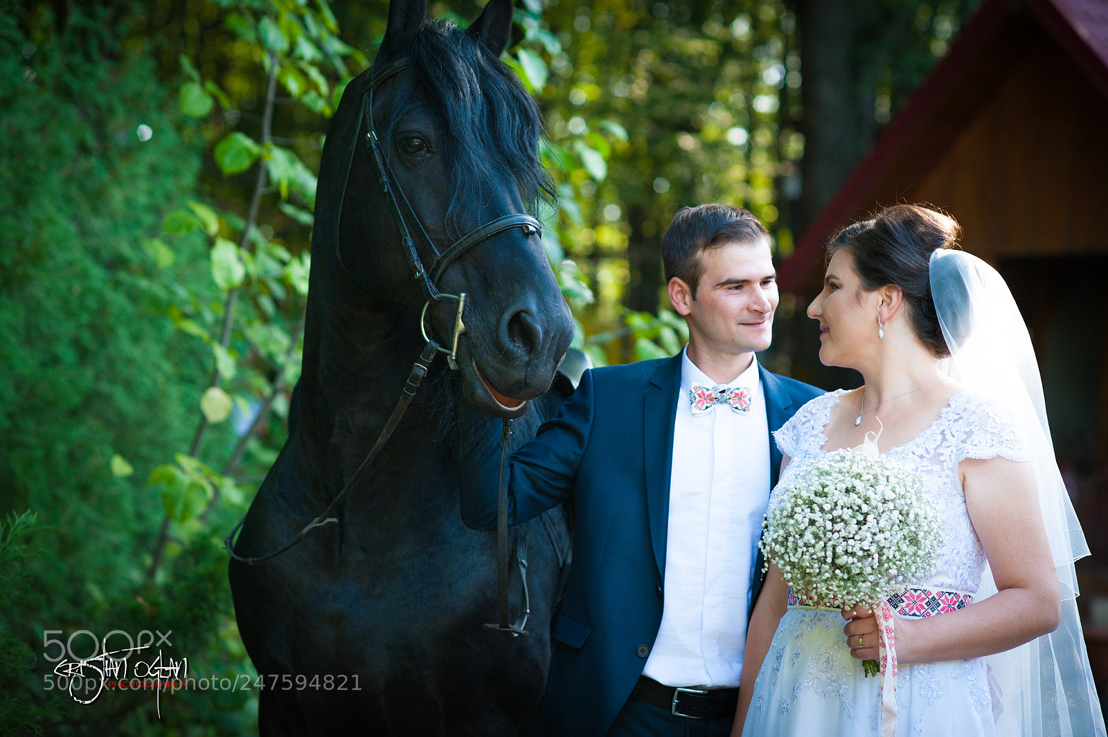 Nikon D700 sample photo. Untitled photography