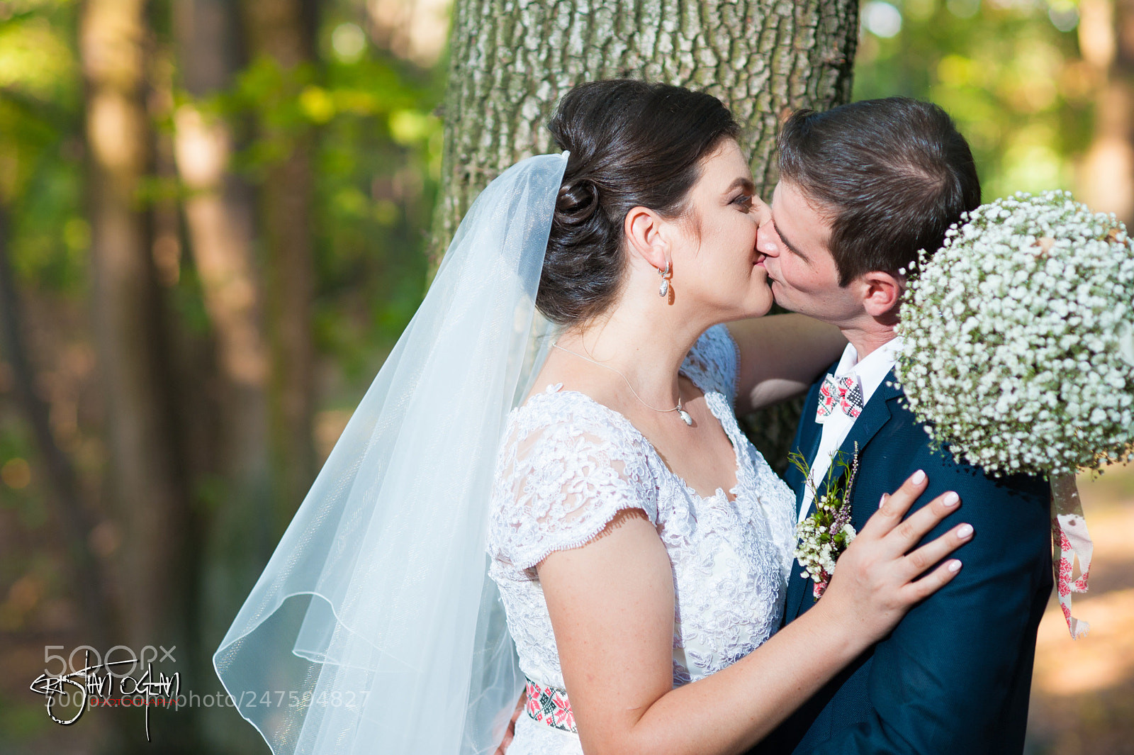 Nikon D700 sample photo. Untitled photography
