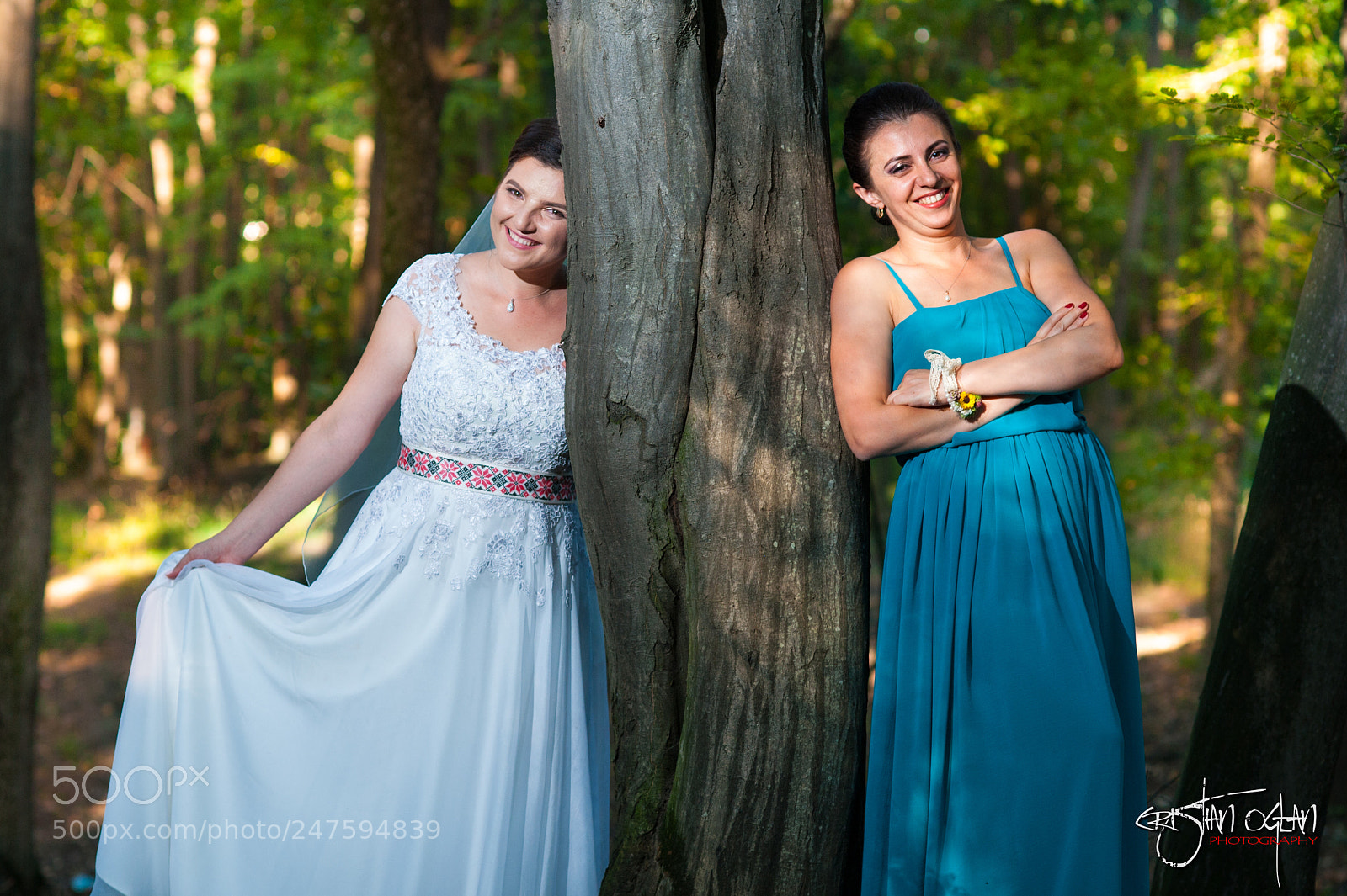 Nikon D700 sample photo. Untitled photography