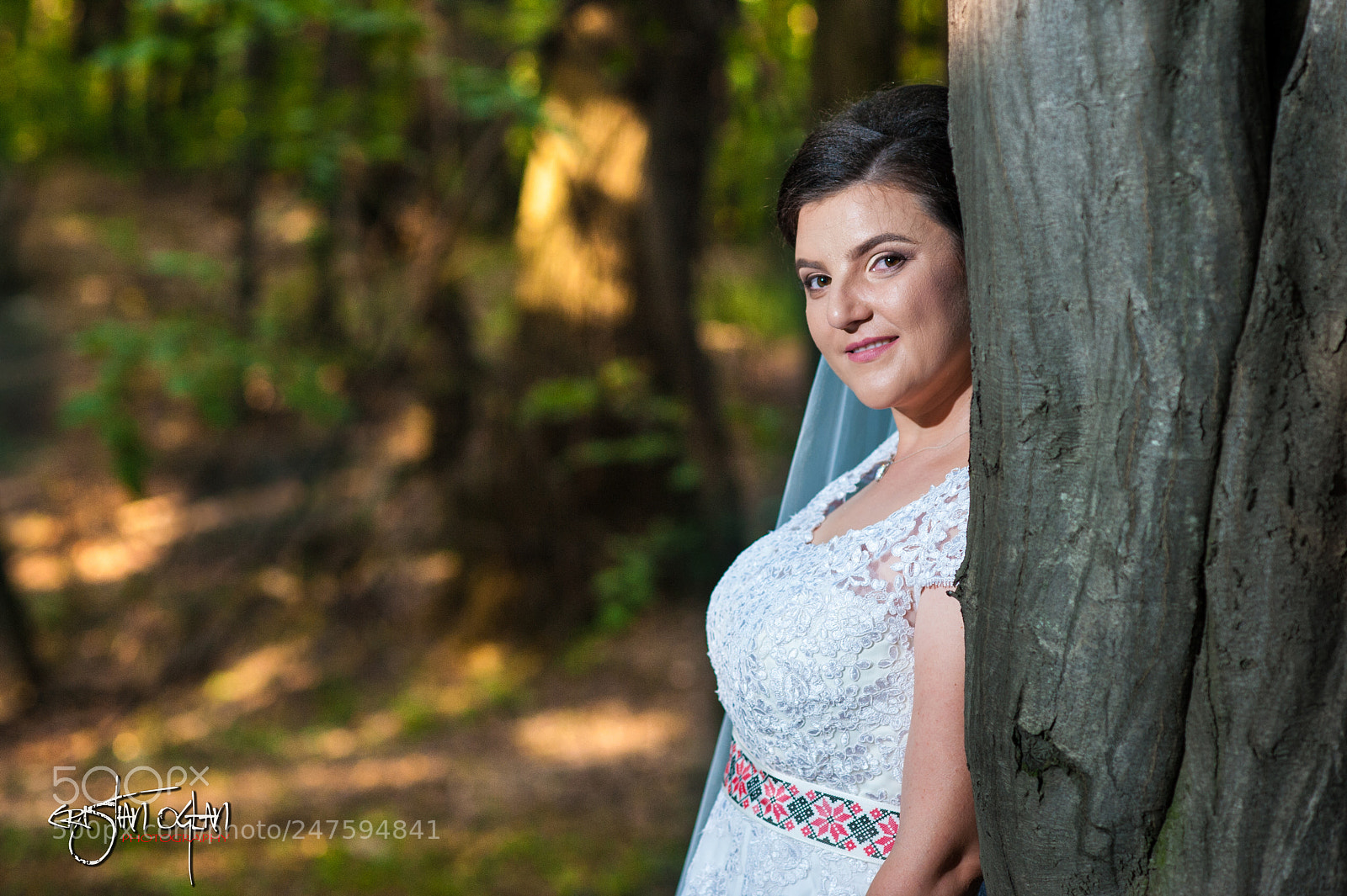 Nikon D700 sample photo. Untitled photography