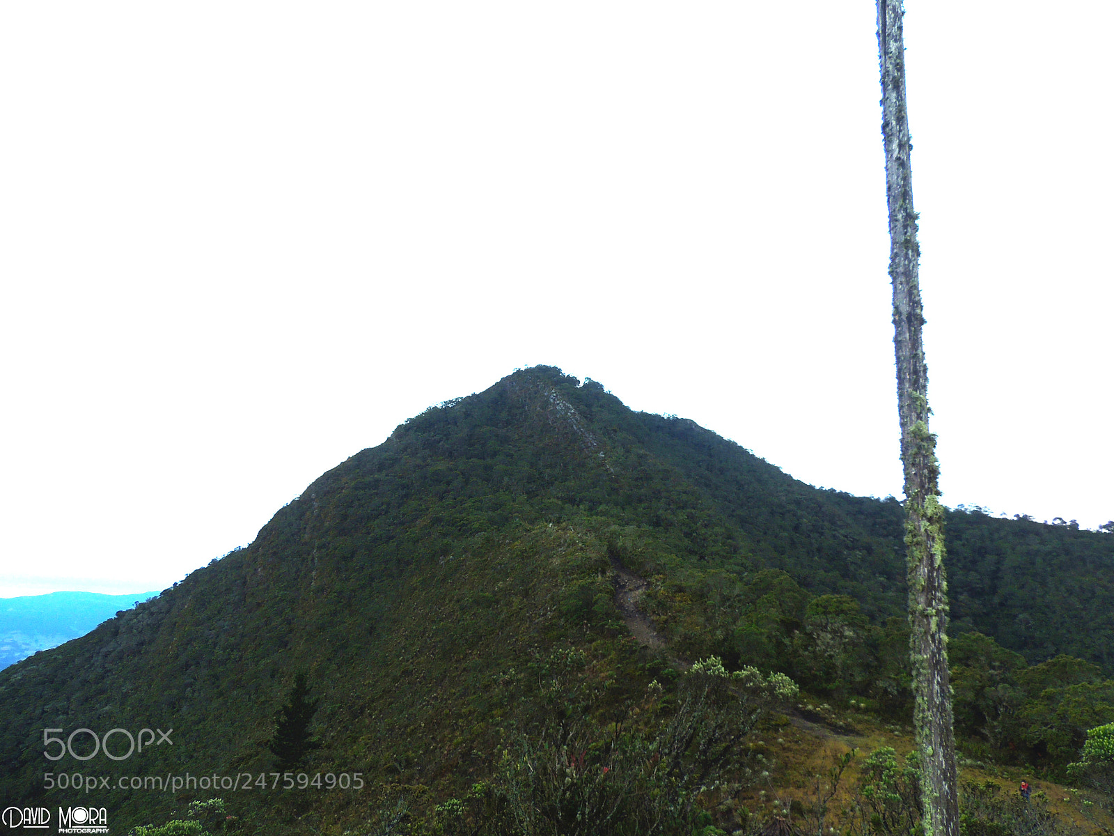 Nikon Coolpix P510 sample photo. Cerro de chegua photography