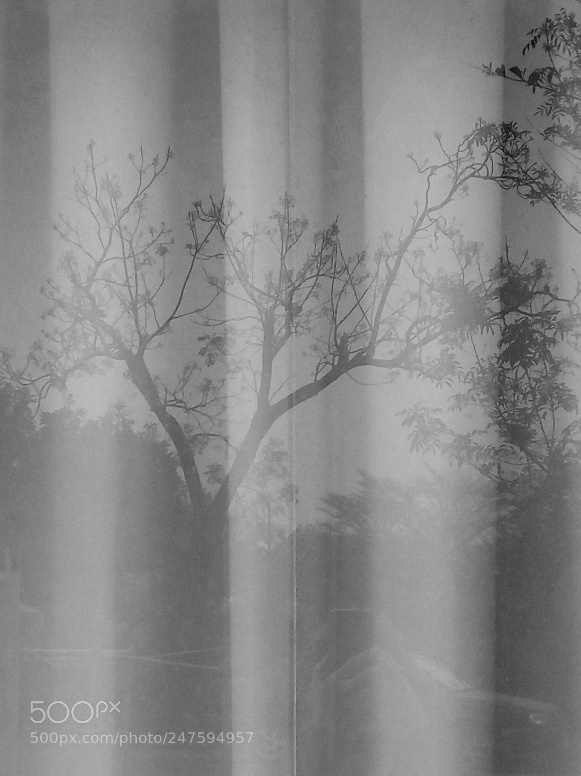 HTC D728X sample photo. Untitled photography