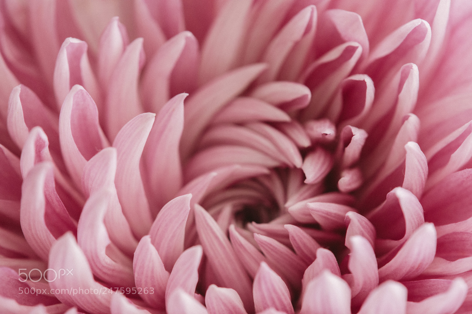 Nikon D7200 sample photo. Color collapse photography