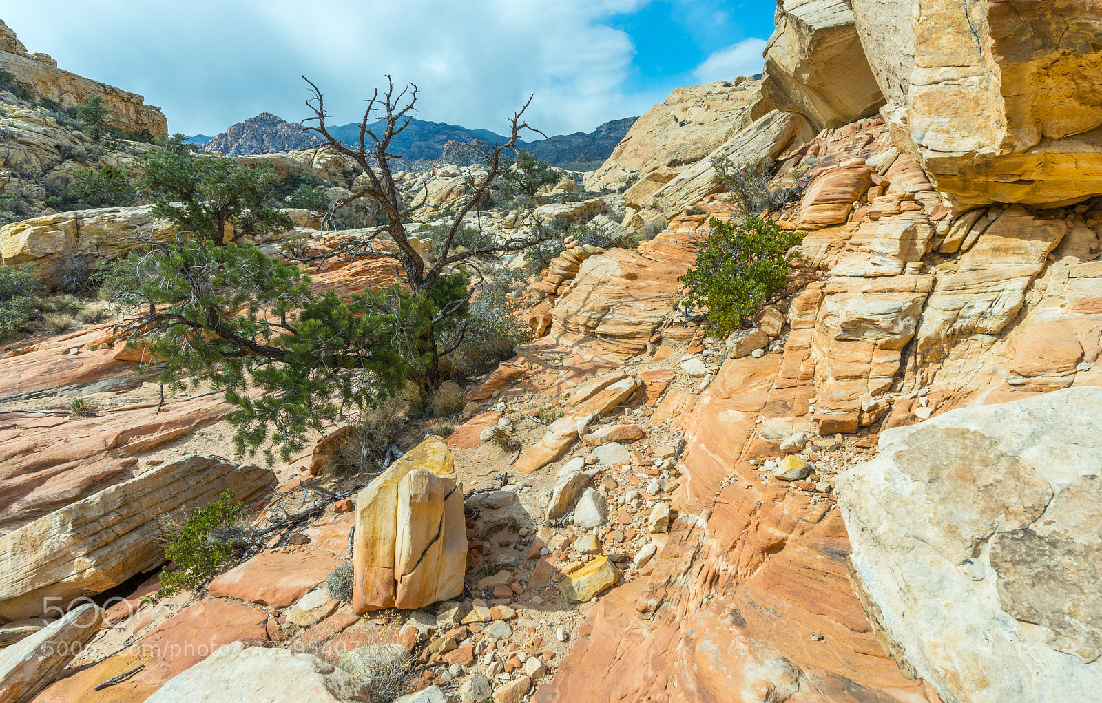 Sony a7 sample photo. Calico tanks trail photography