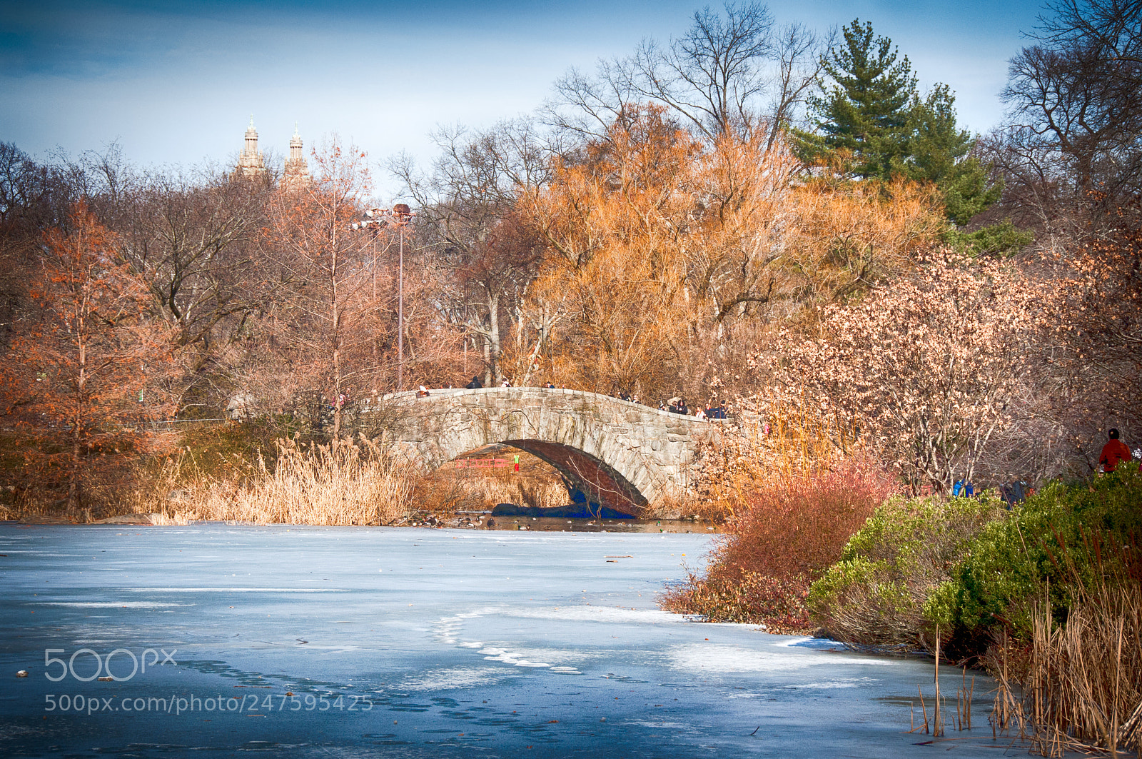Nikon D90 sample photo. The pond photography