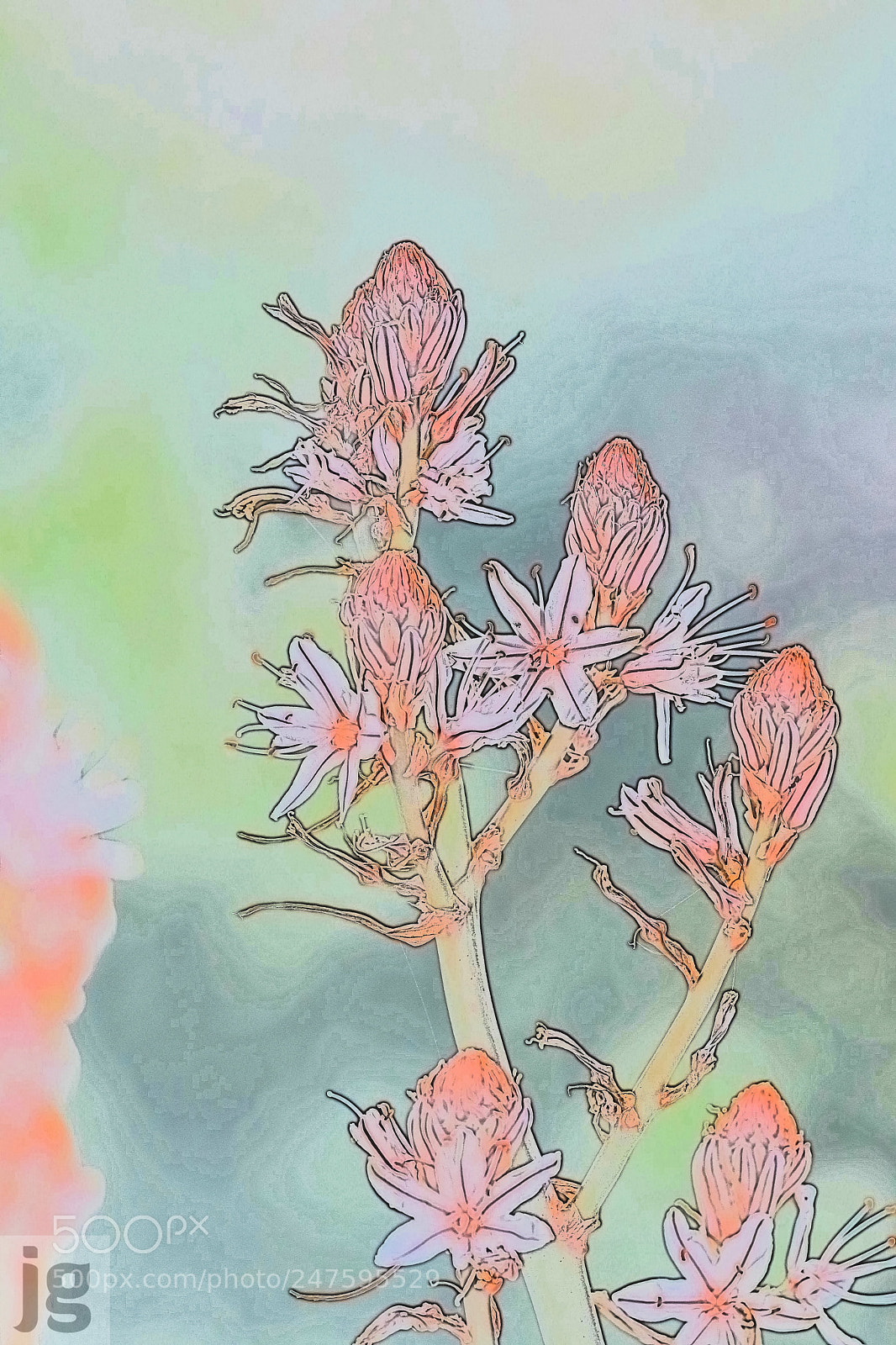 Canon EOS 77D (EOS 9000D / EOS 770D) sample photo. Wild flower water colour photography