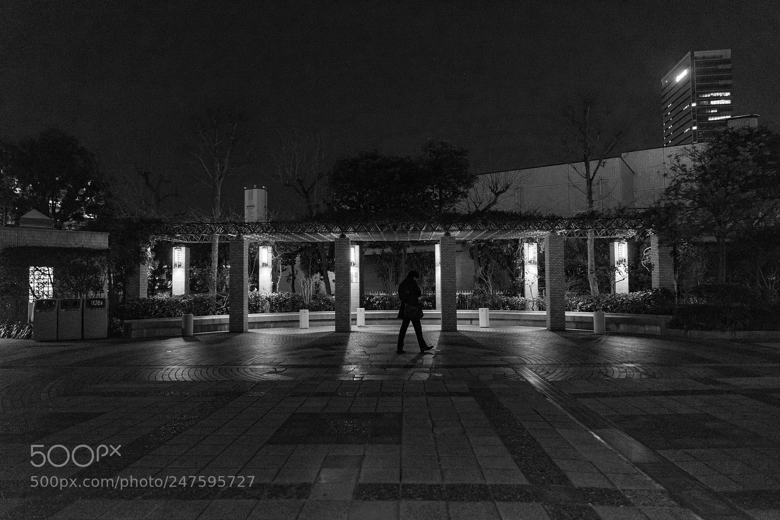 Sony a7 II sample photo. Untitled photography