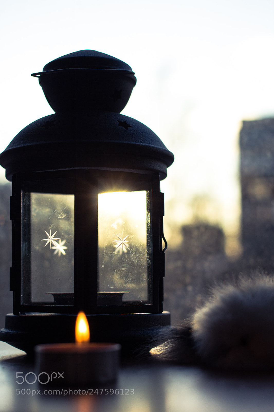 Canon EOS 60D sample photo. Fire in light photography