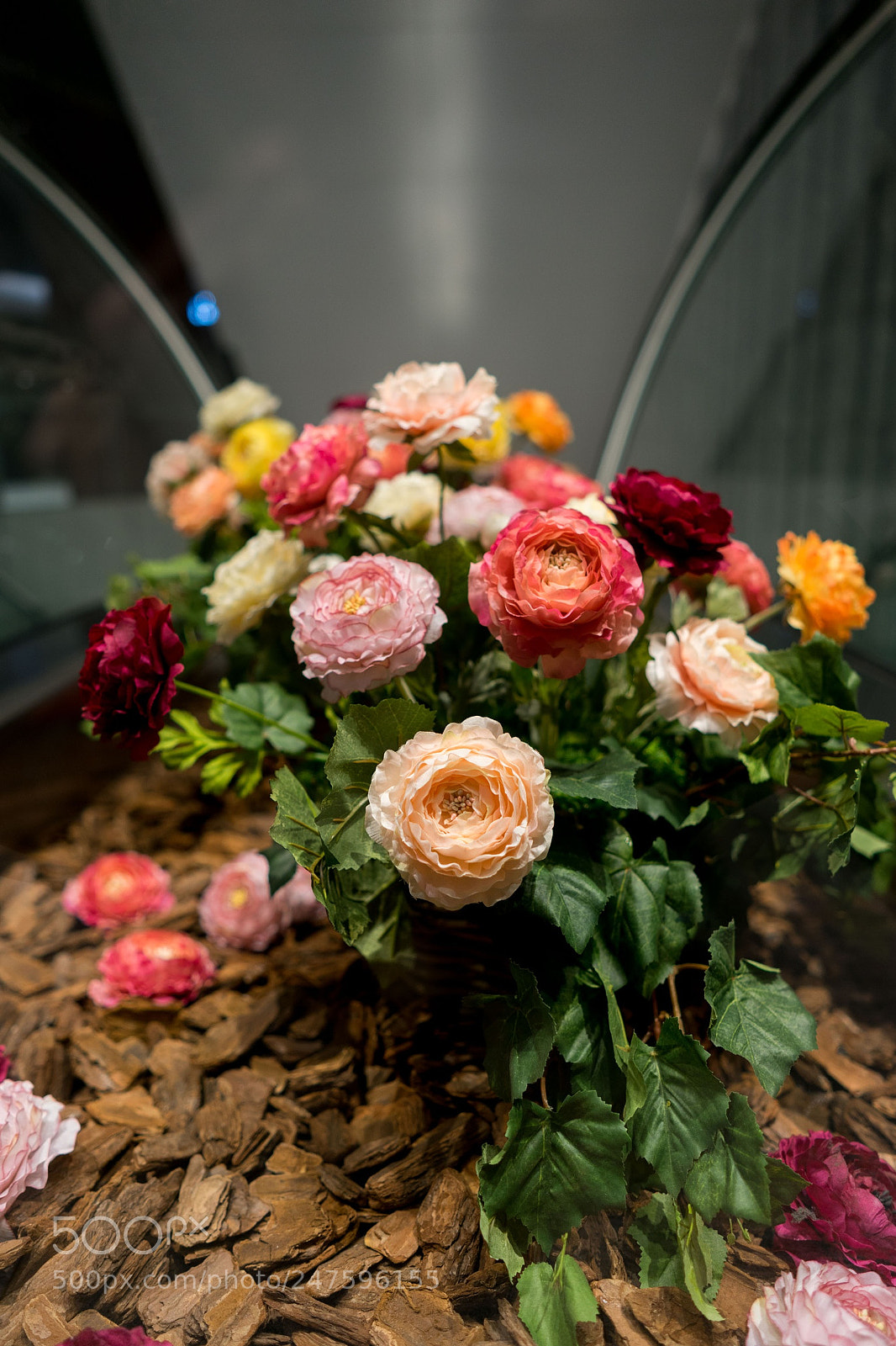 Sony a7 II sample photo. Untitled photography
