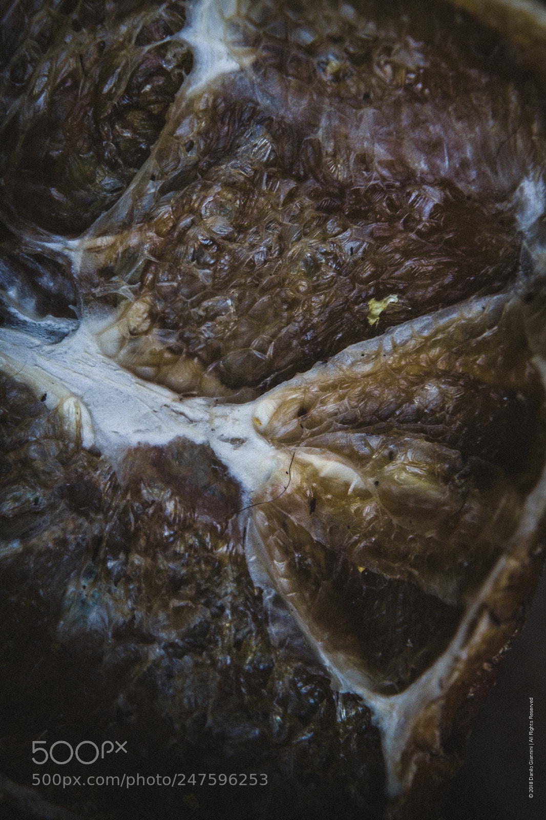 Fujifilm X-Pro2 sample photo. Dried orange topography photography