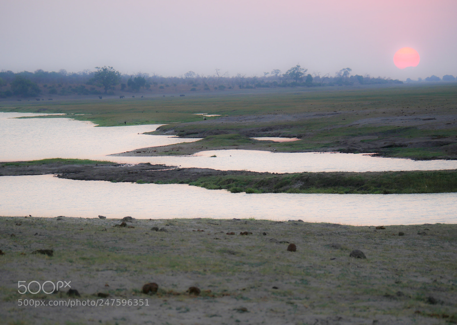 Panasonic DMC-G70 sample photo. Chobe river botswana photography