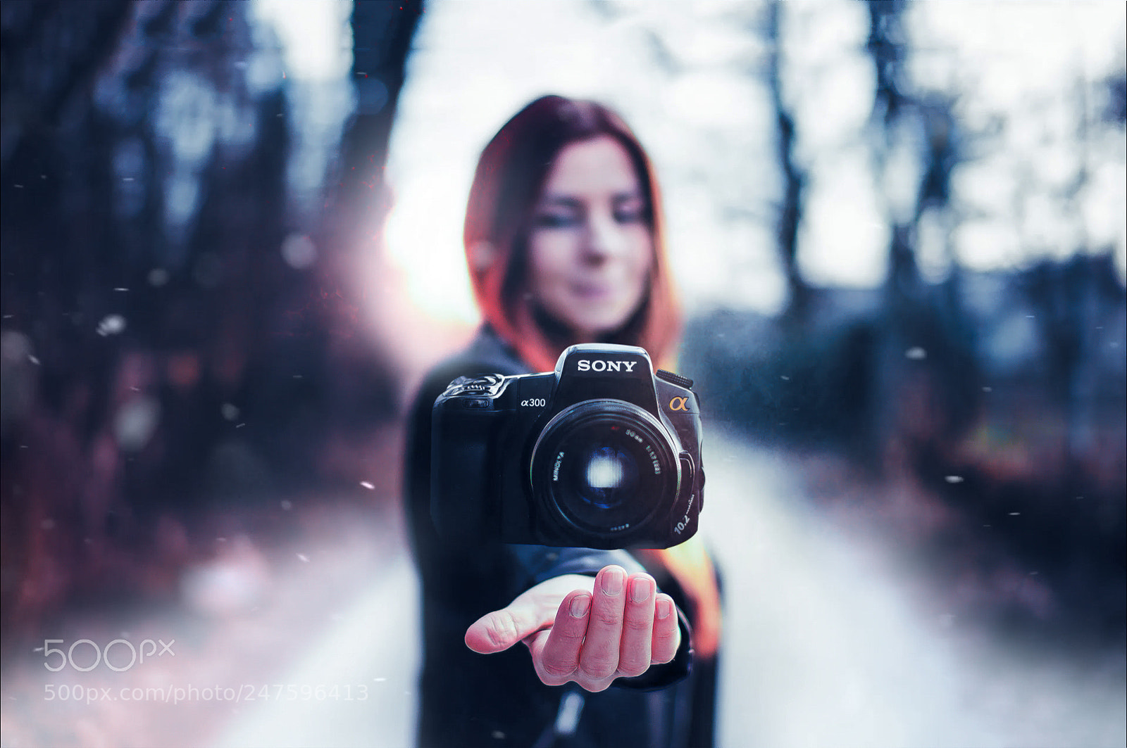 Sony Alpha DSLR-A580 sample photo. Levitation - winter edition photography