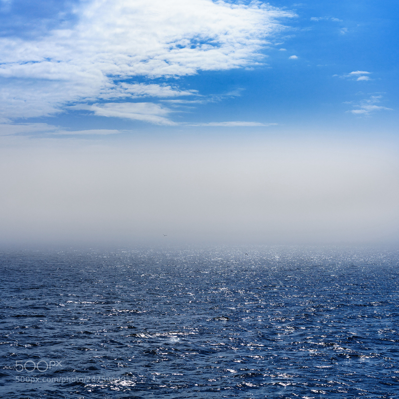 Sony a7R II sample photo. Solovki 30 (sea). photography