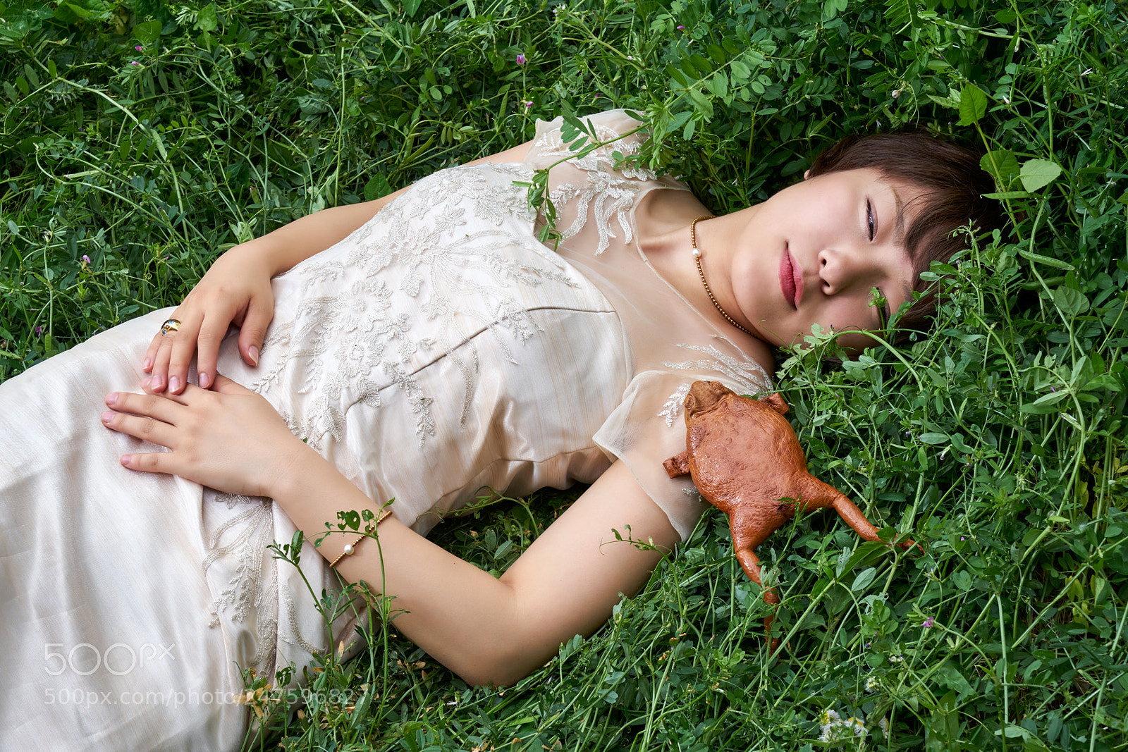 Sony a7 II sample photo. Frog photography