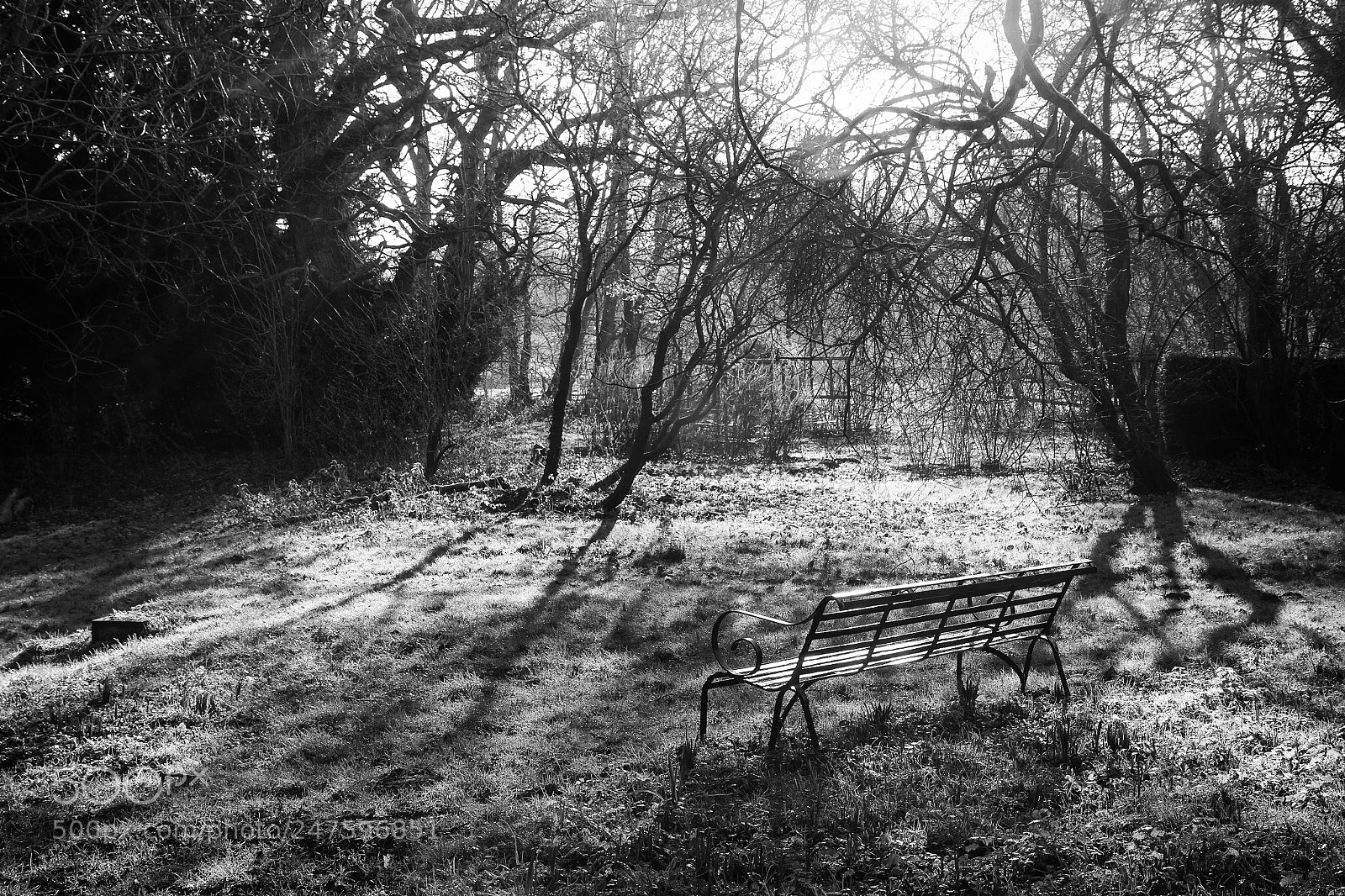 Canon EOS 50D sample photo. Untitled photography