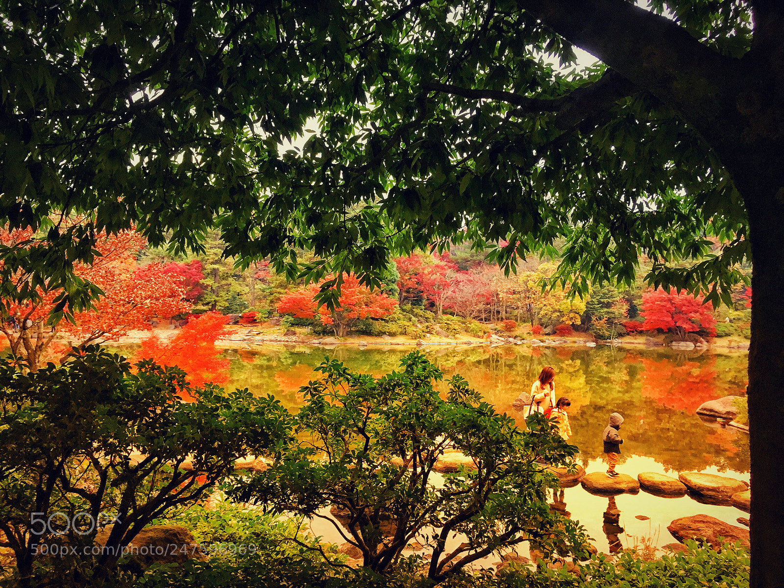 Apple iPhone SE sample photo. 昭和記念公園 tokyo photography