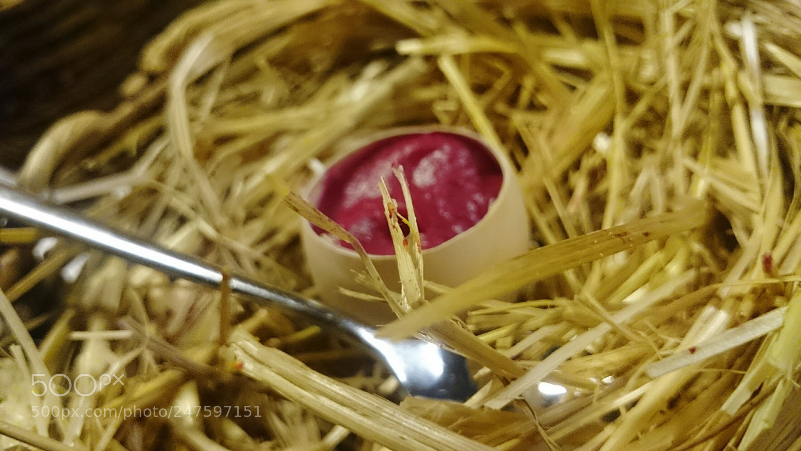 Sony Xperia Z2 sample photo. Interesting food photography
