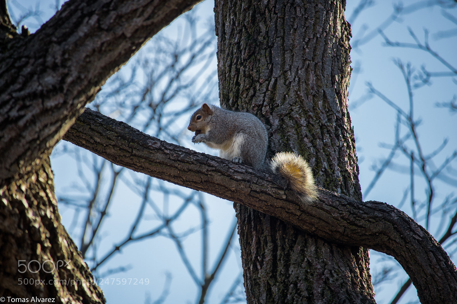 Canon EOS 750D (EOS Rebel T6i / EOS Kiss X8i) sample photo. Having a snack photography