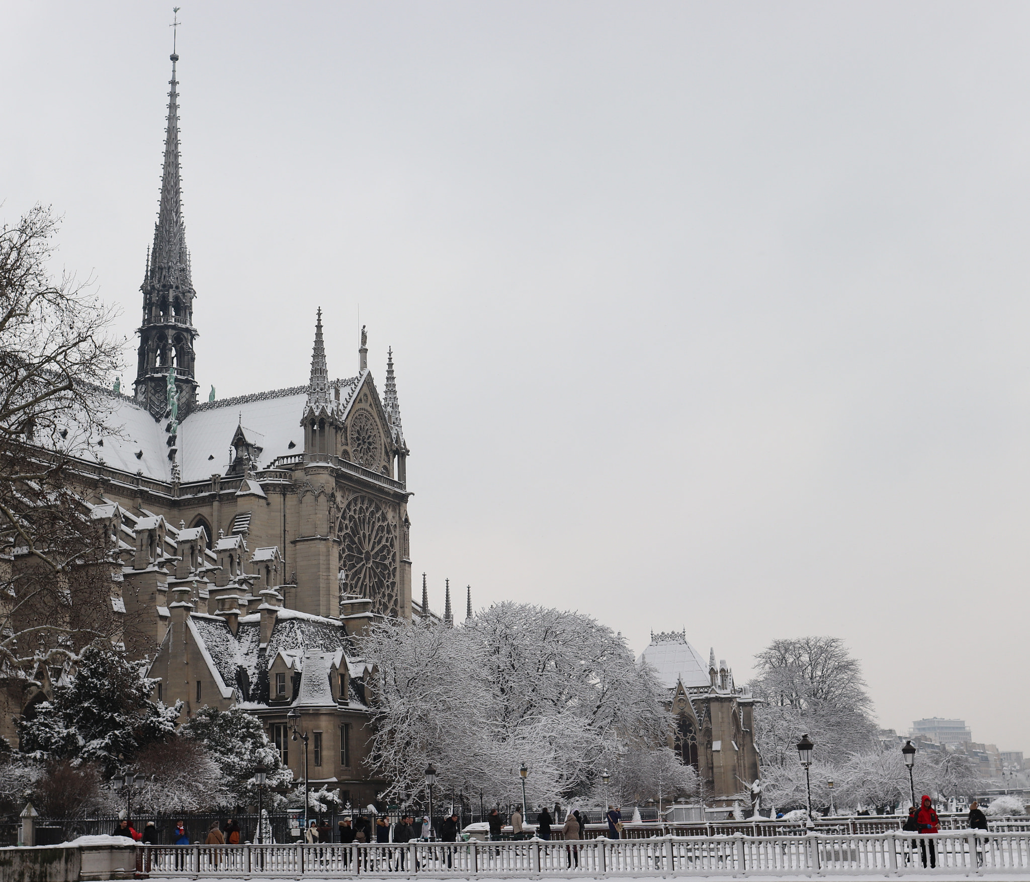 Canon EOS 200D (EOS Rebel SL2 / EOS Kiss X9) sample photo. Notre dame de paris ~  mjyj photography