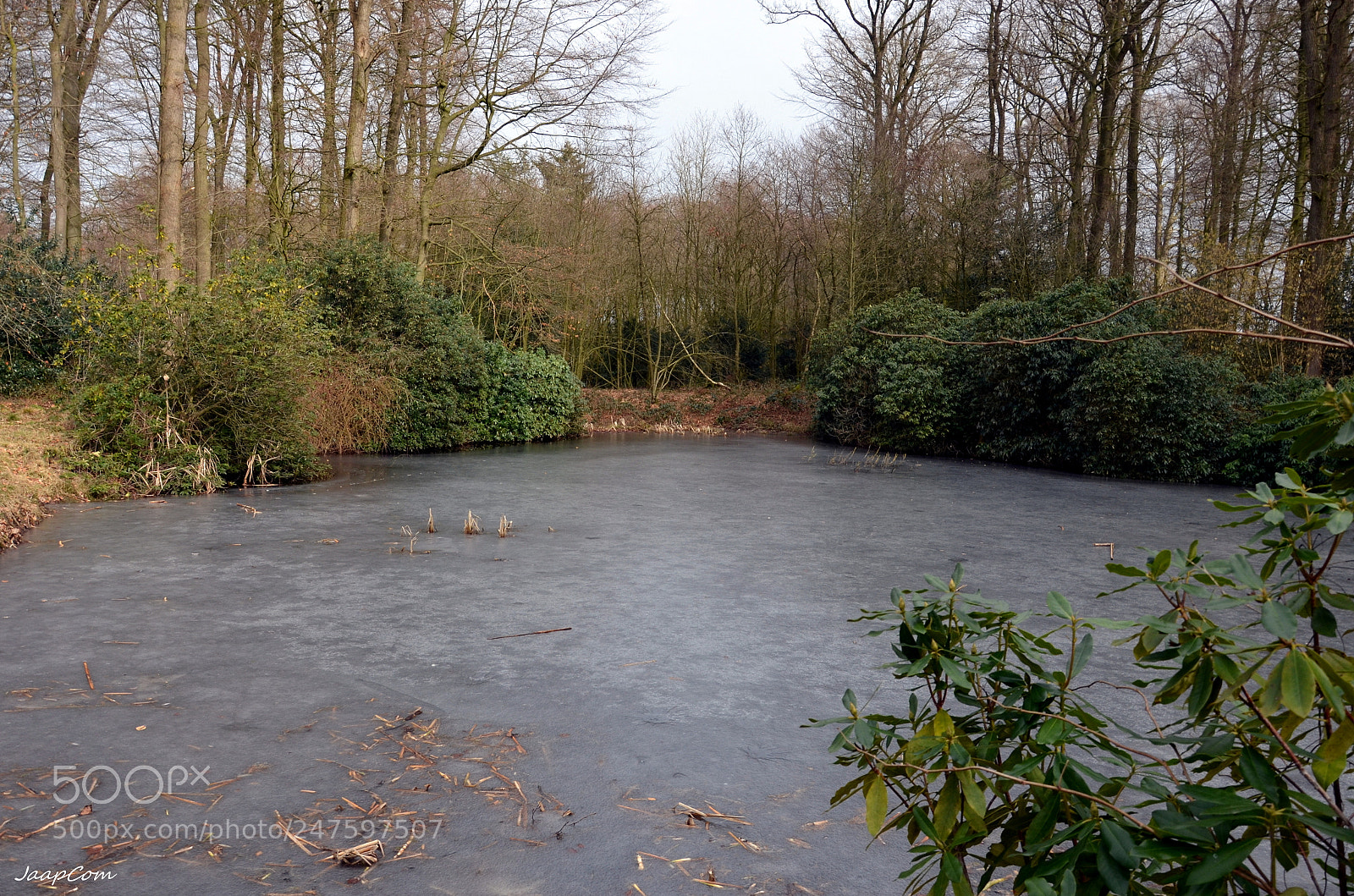 Nikon D5100 sample photo. Holland wintertime photography