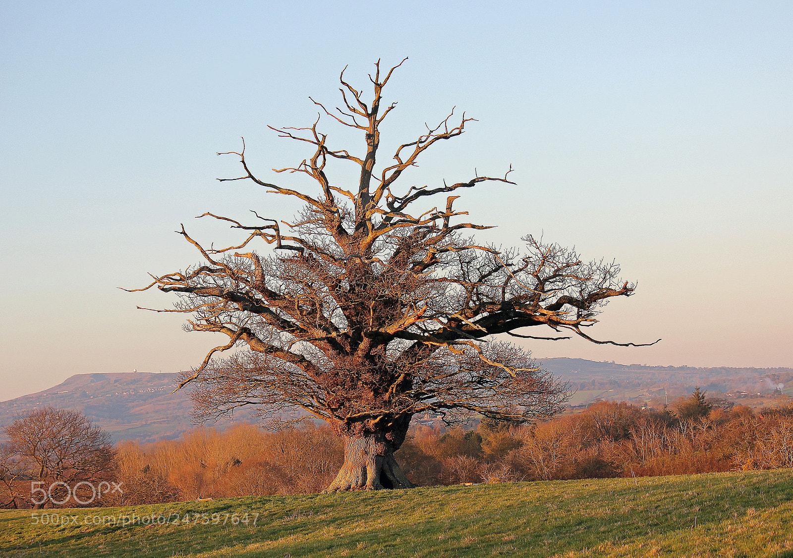 Canon EOS 550D (EOS Rebel T2i / EOS Kiss X4) sample photo. Winter sunset photography