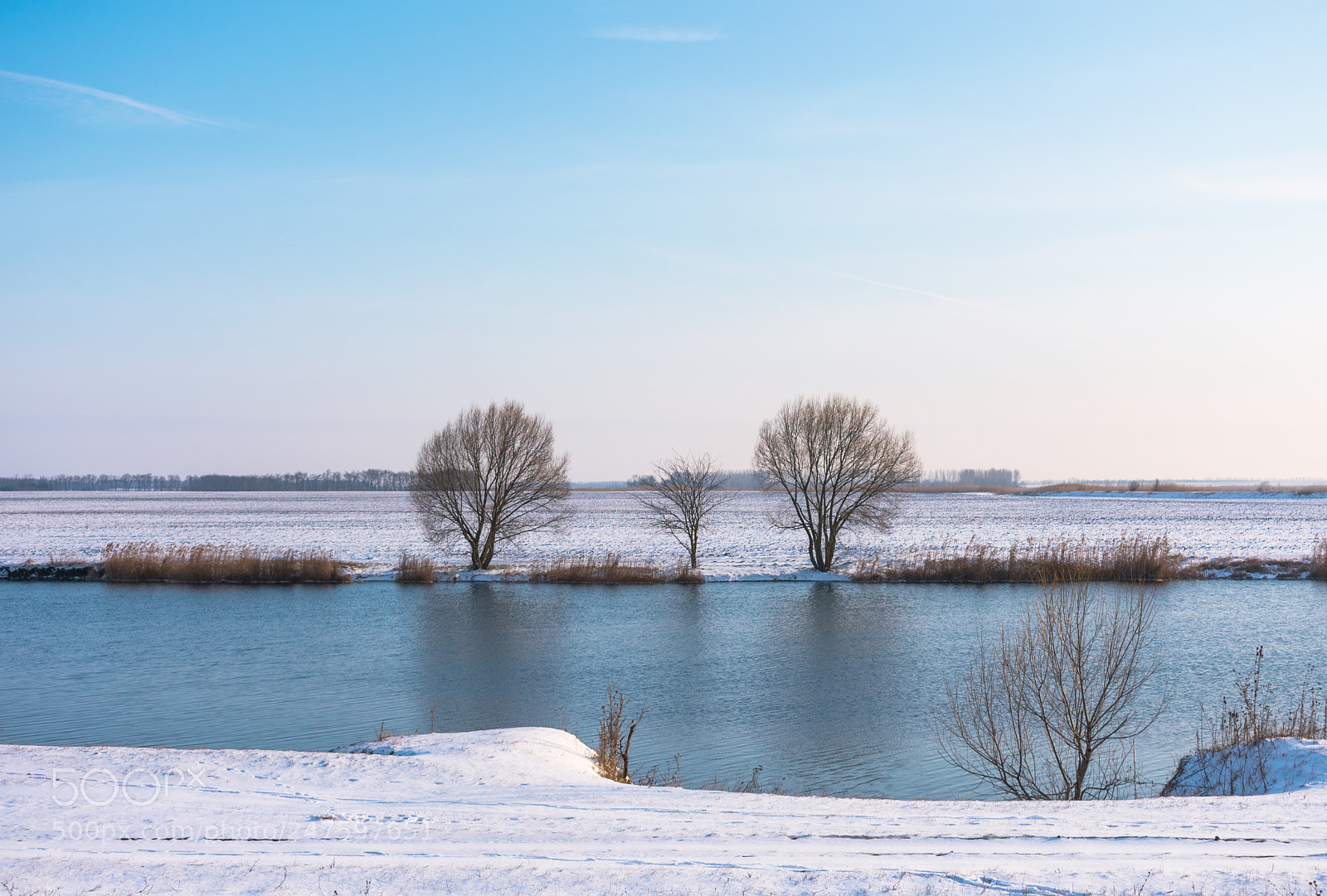 Nikon D3400 sample photo. Winter trinity photography