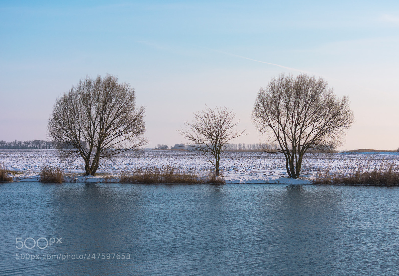 Nikon D3400 sample photo. Winter trinity photography