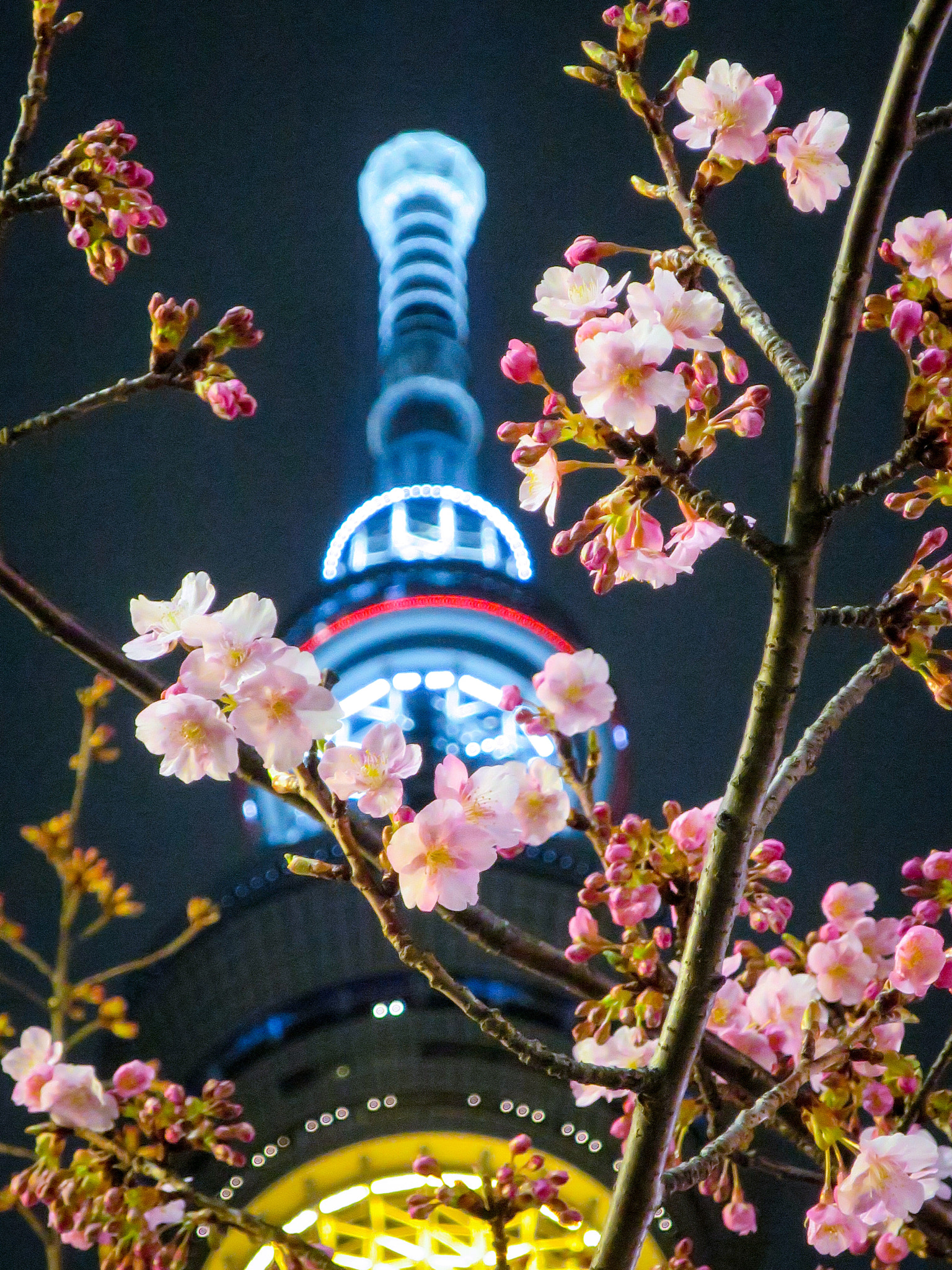 Canon PowerShot S120 sample photo. Cherry blossoms and tokyo skytree photography