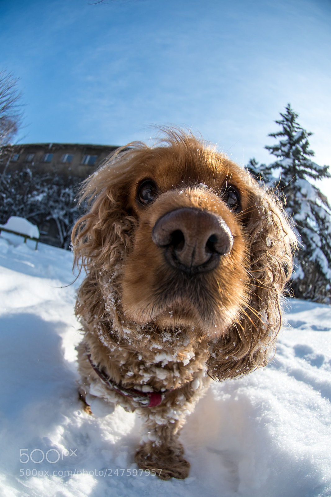 Nikon D7500 sample photo. What are you doing photography