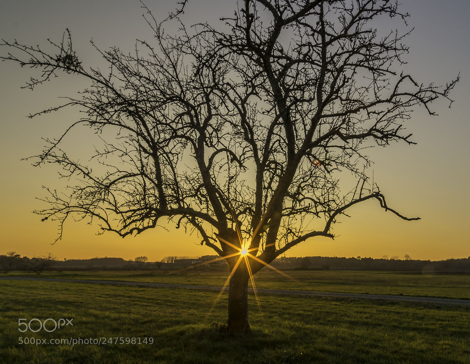 Pentax K-5 II sample photo. Coucher de soleil photography