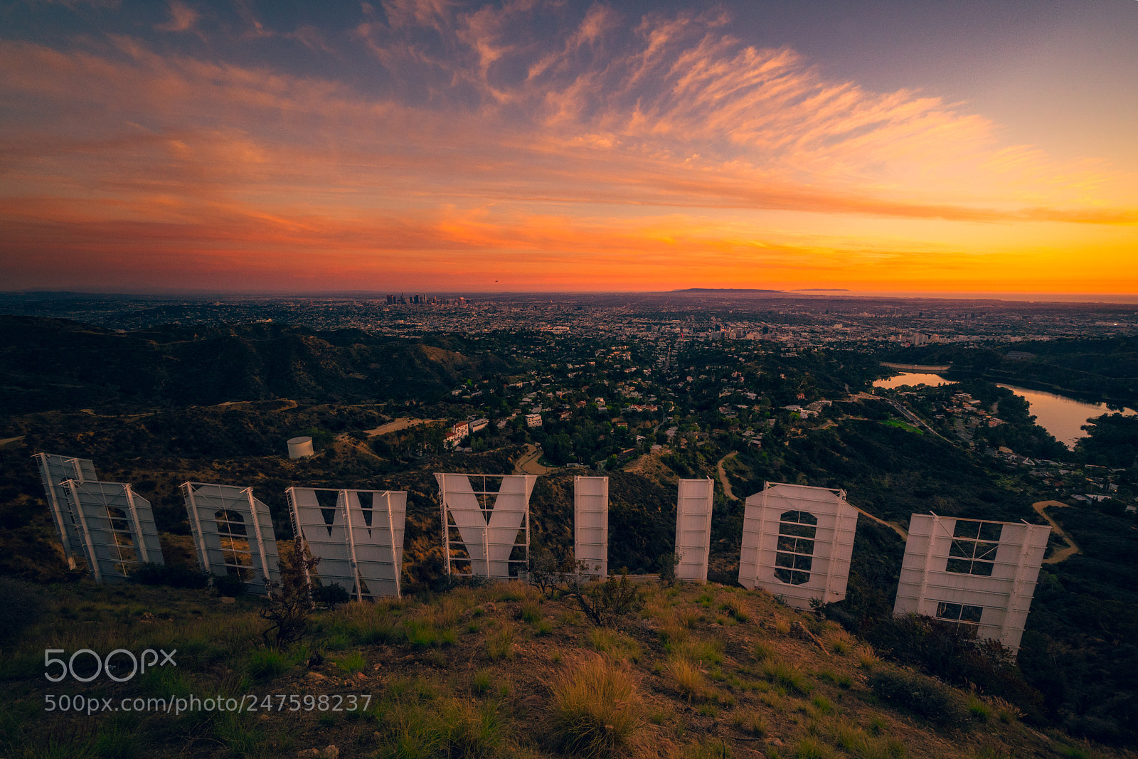 Sony a7R III sample photo. Hollywood. photography