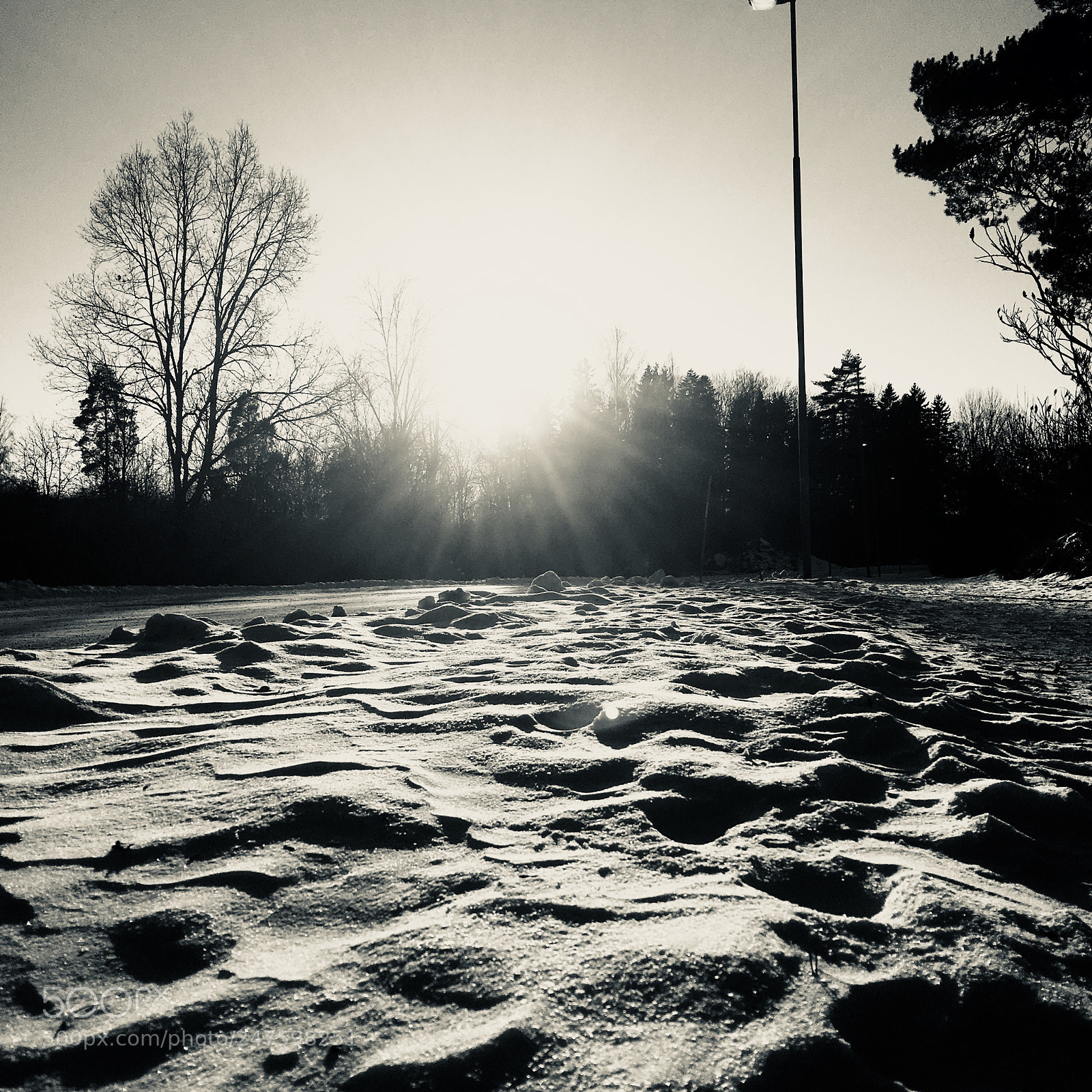 Apple iPhone 6s sample photo. Cold winter photography